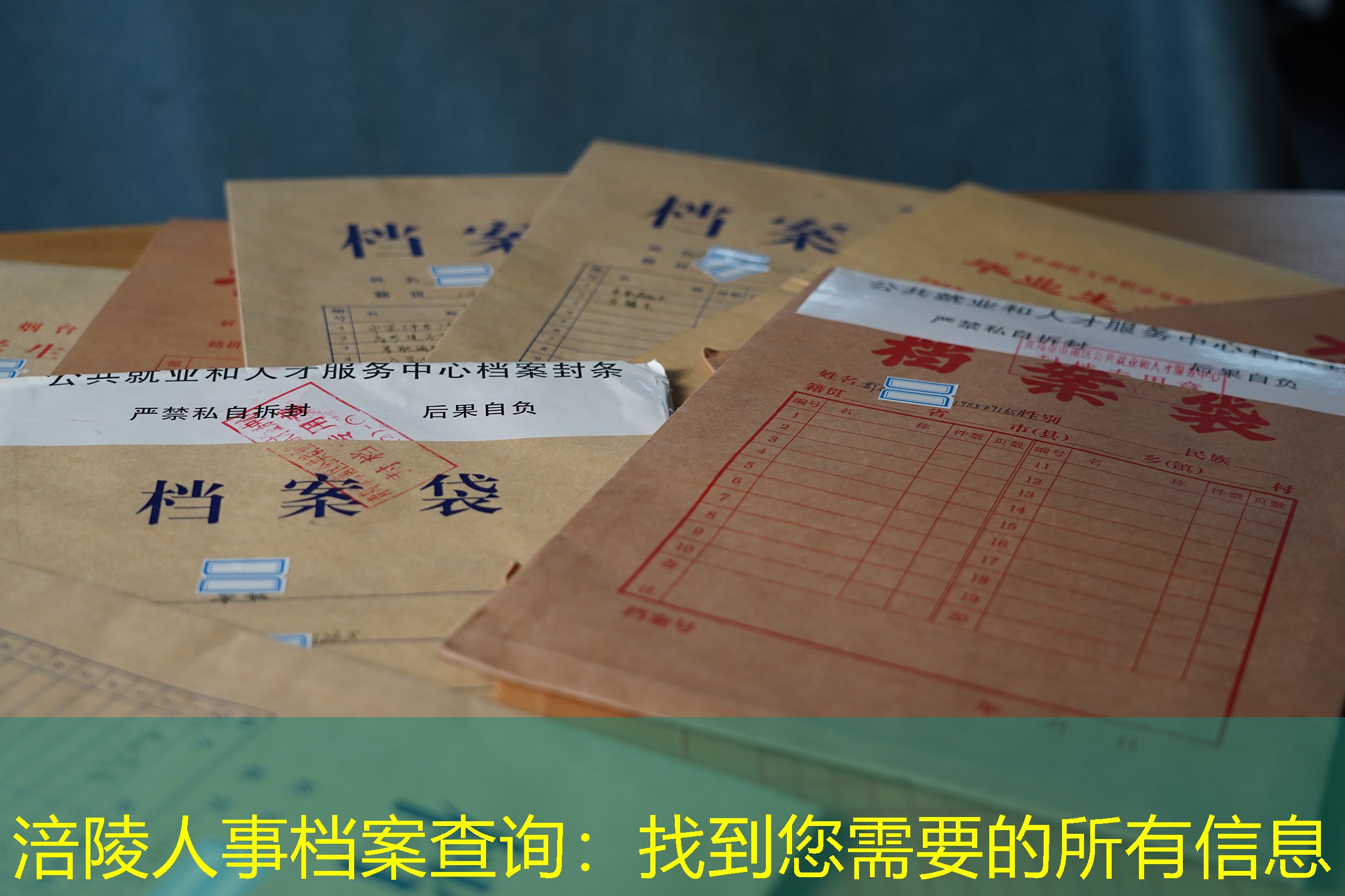 档案查询
