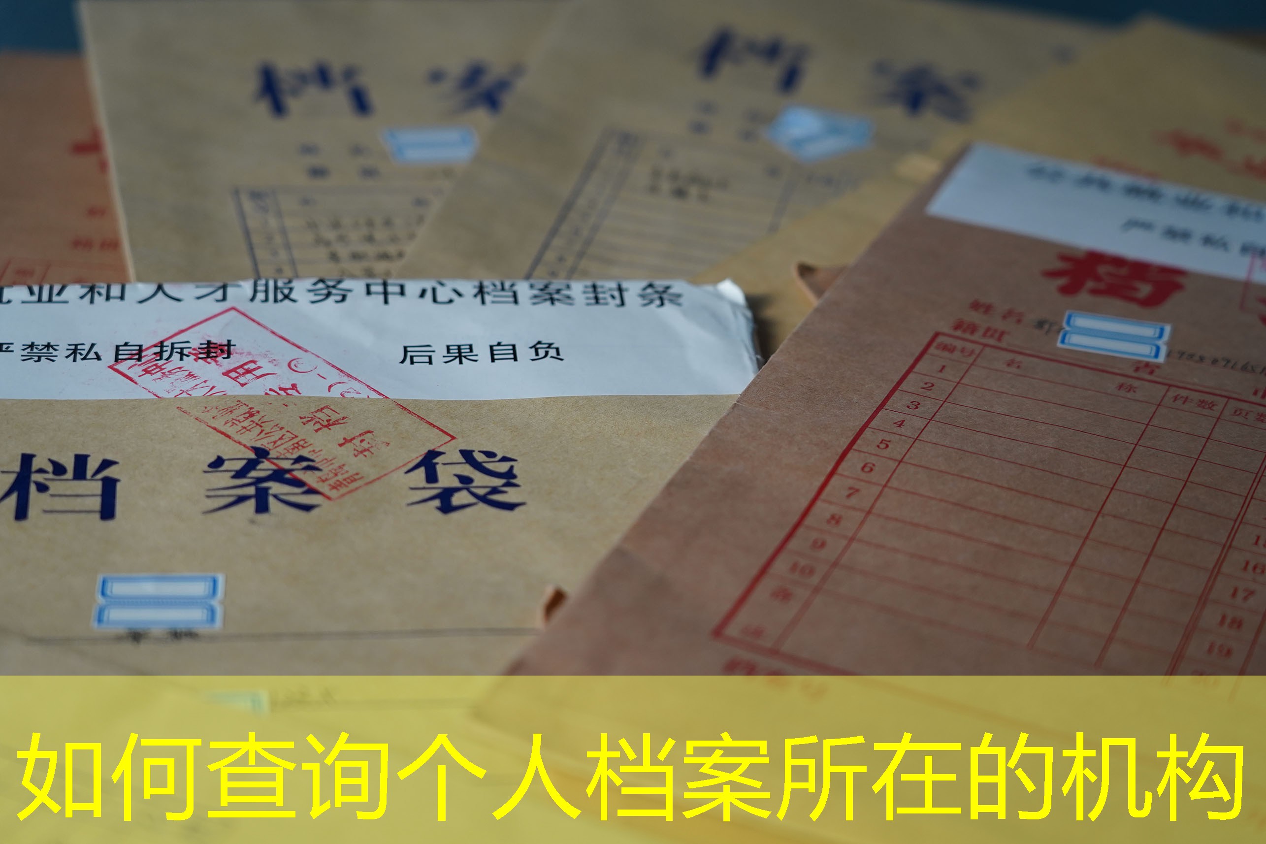 档案查询