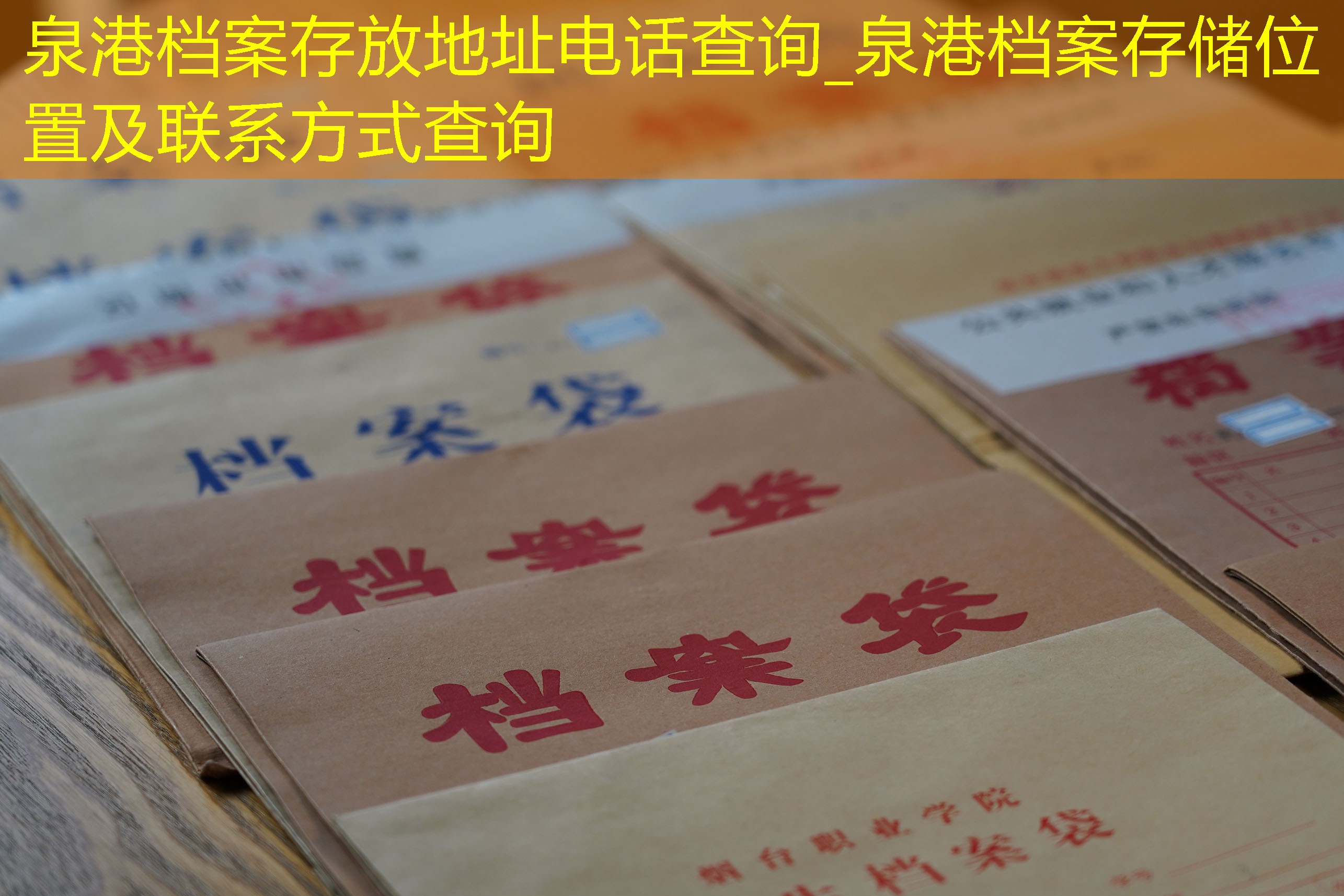 档案查询