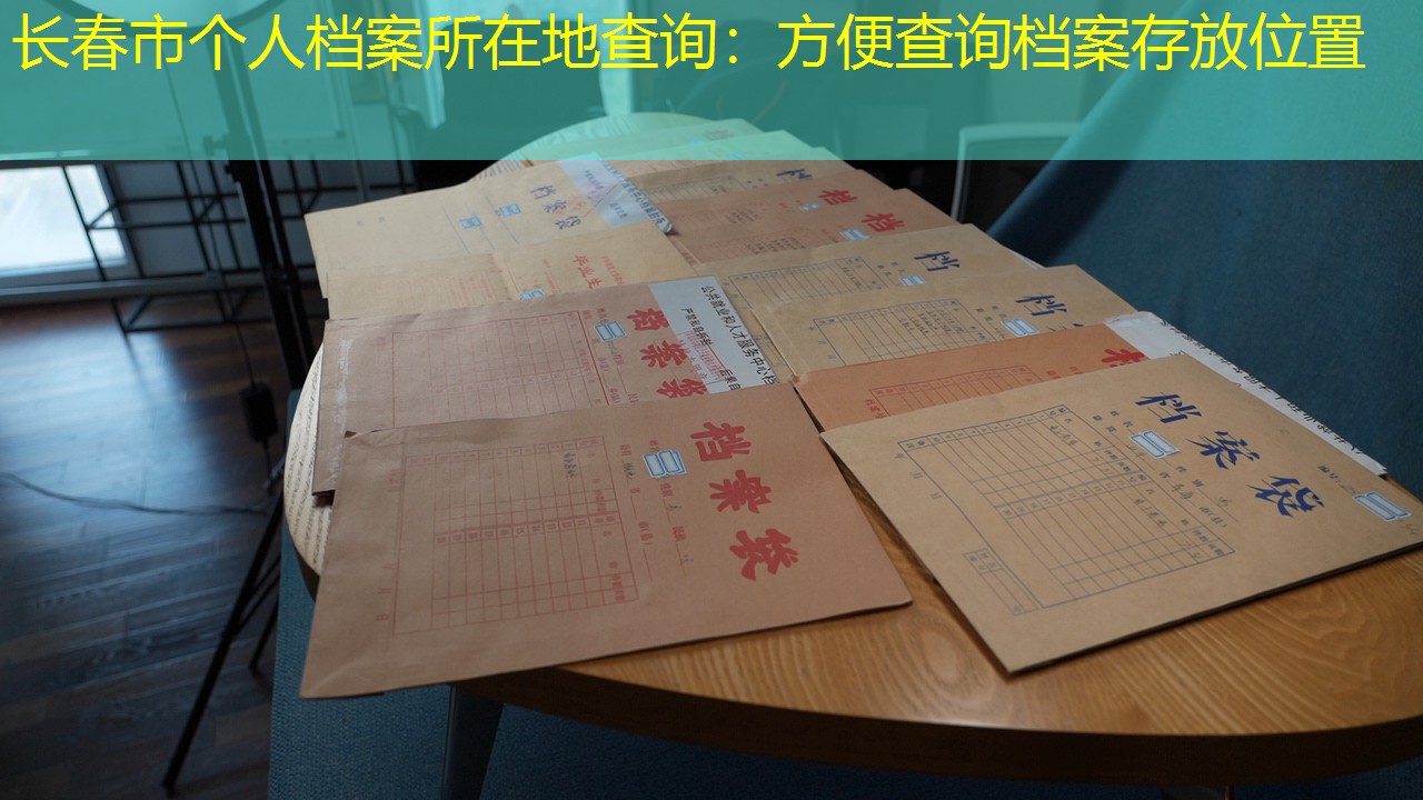 档案查询