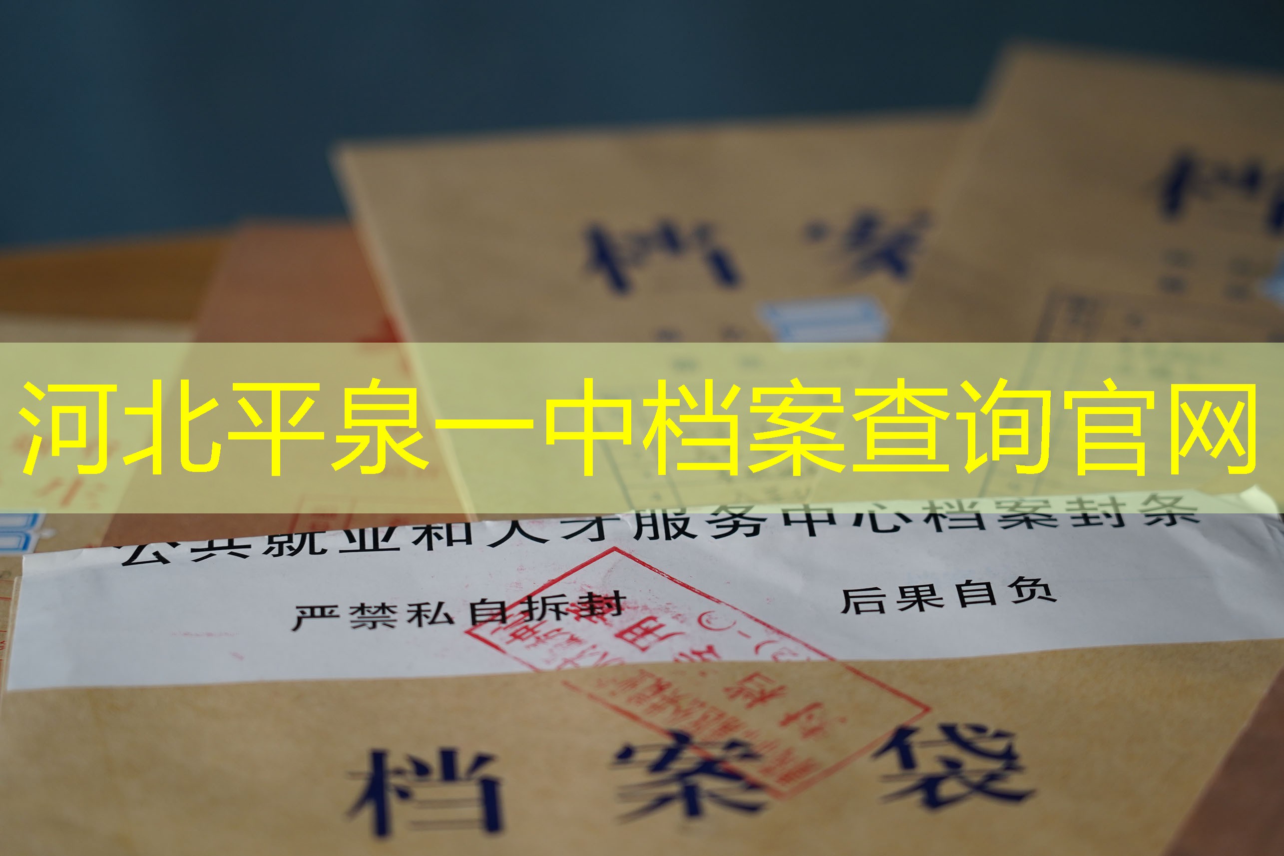 档案查询