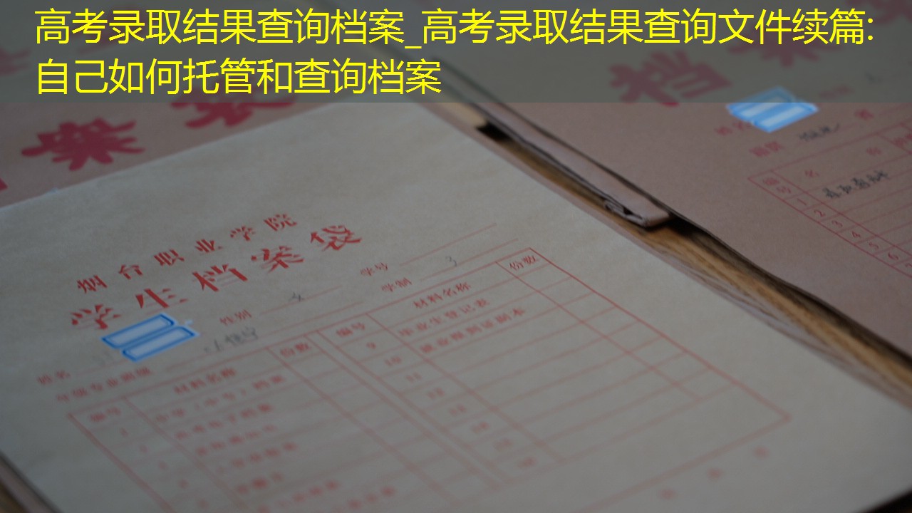 档案查询
