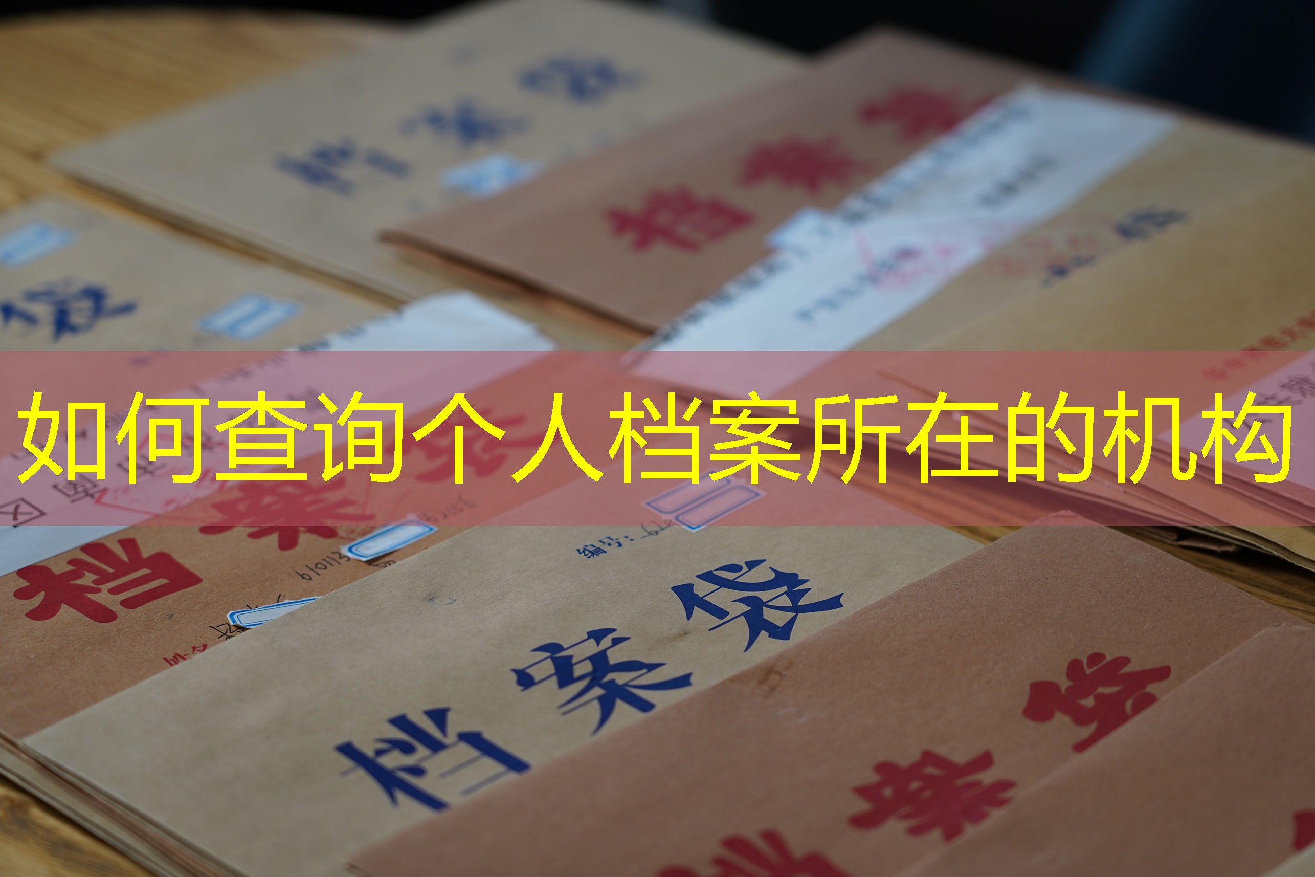 档案查询