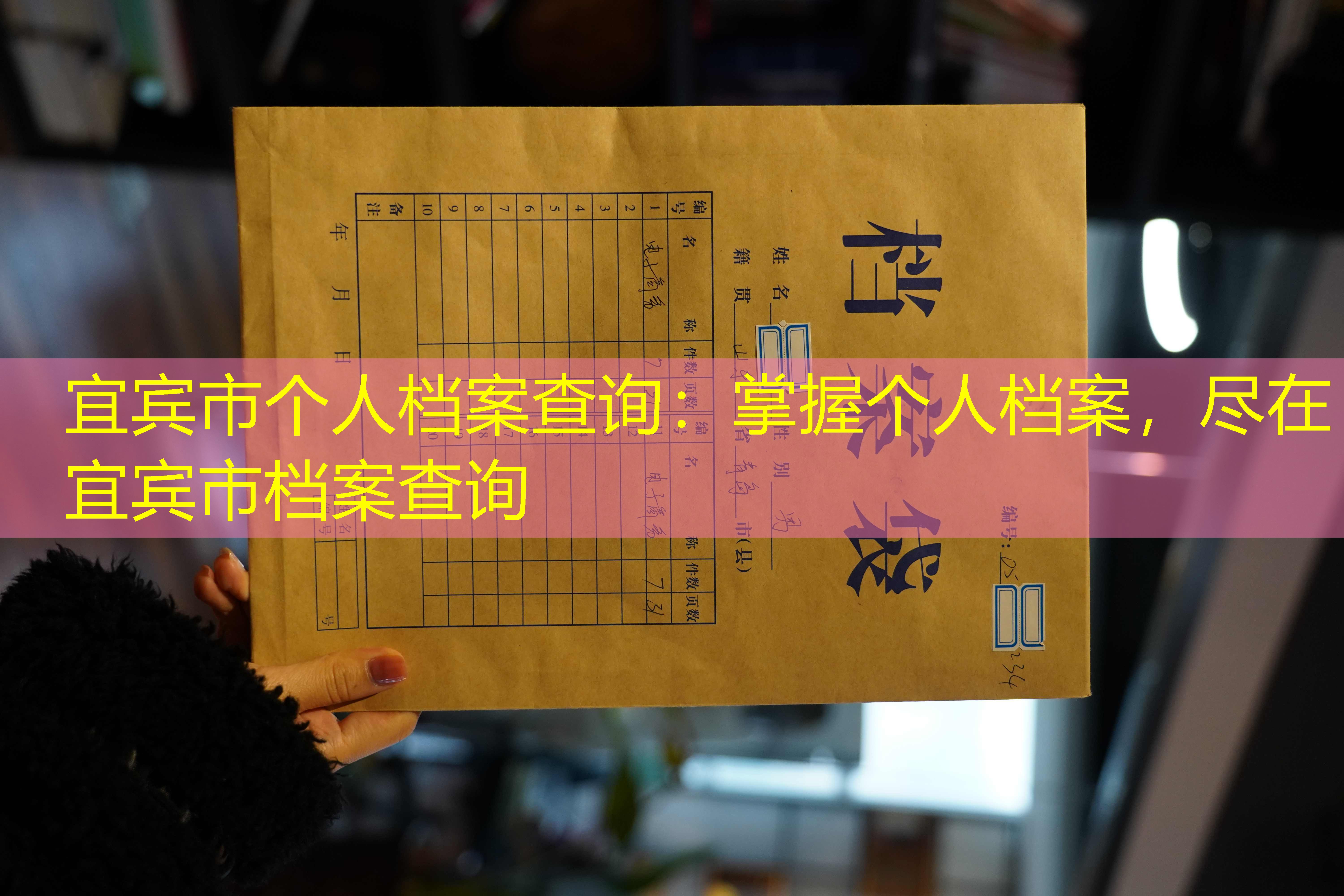 档案查询