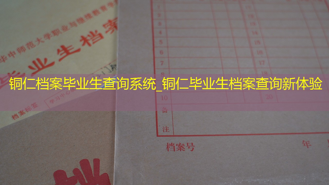 档案查询