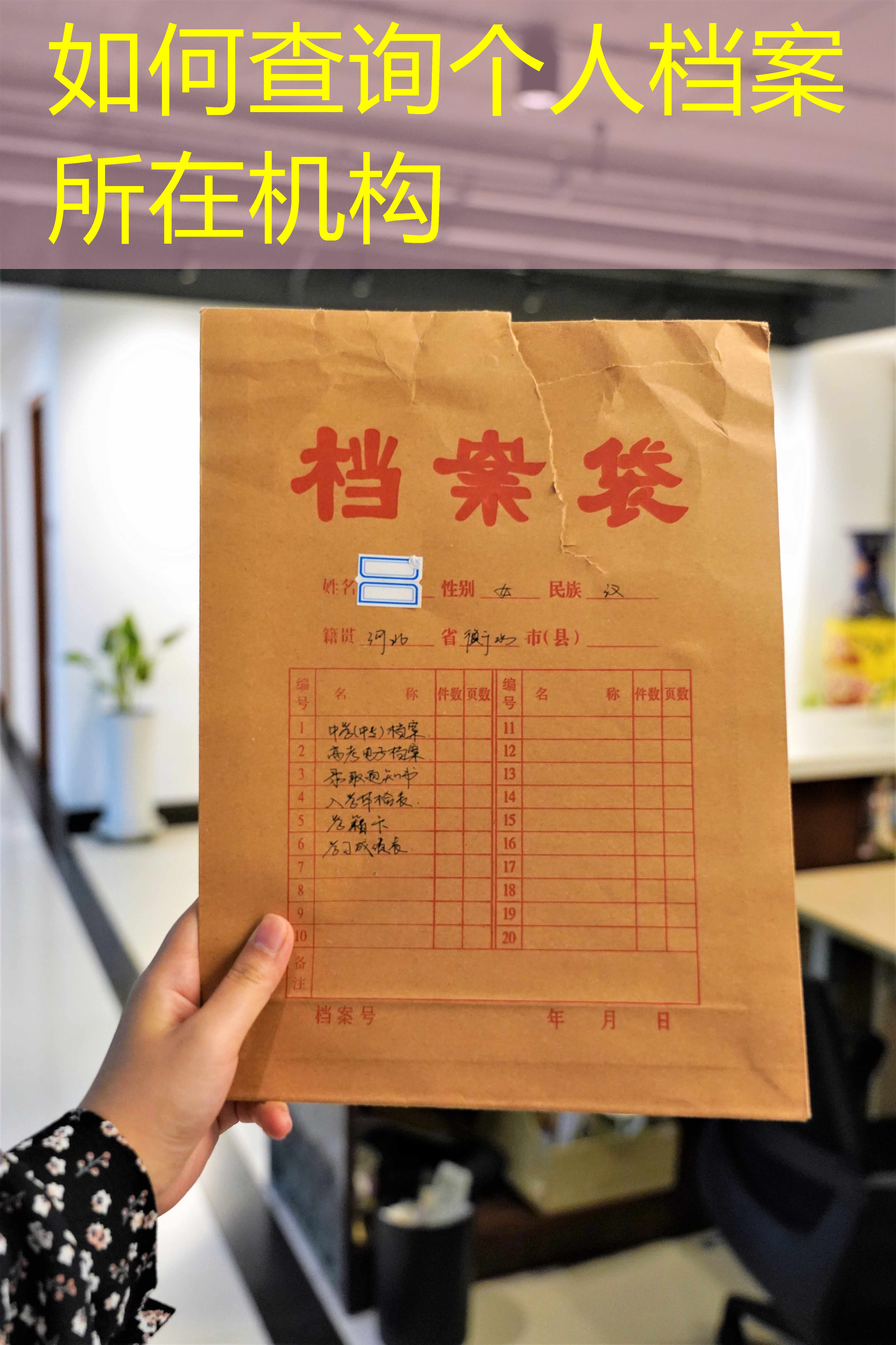档案查询