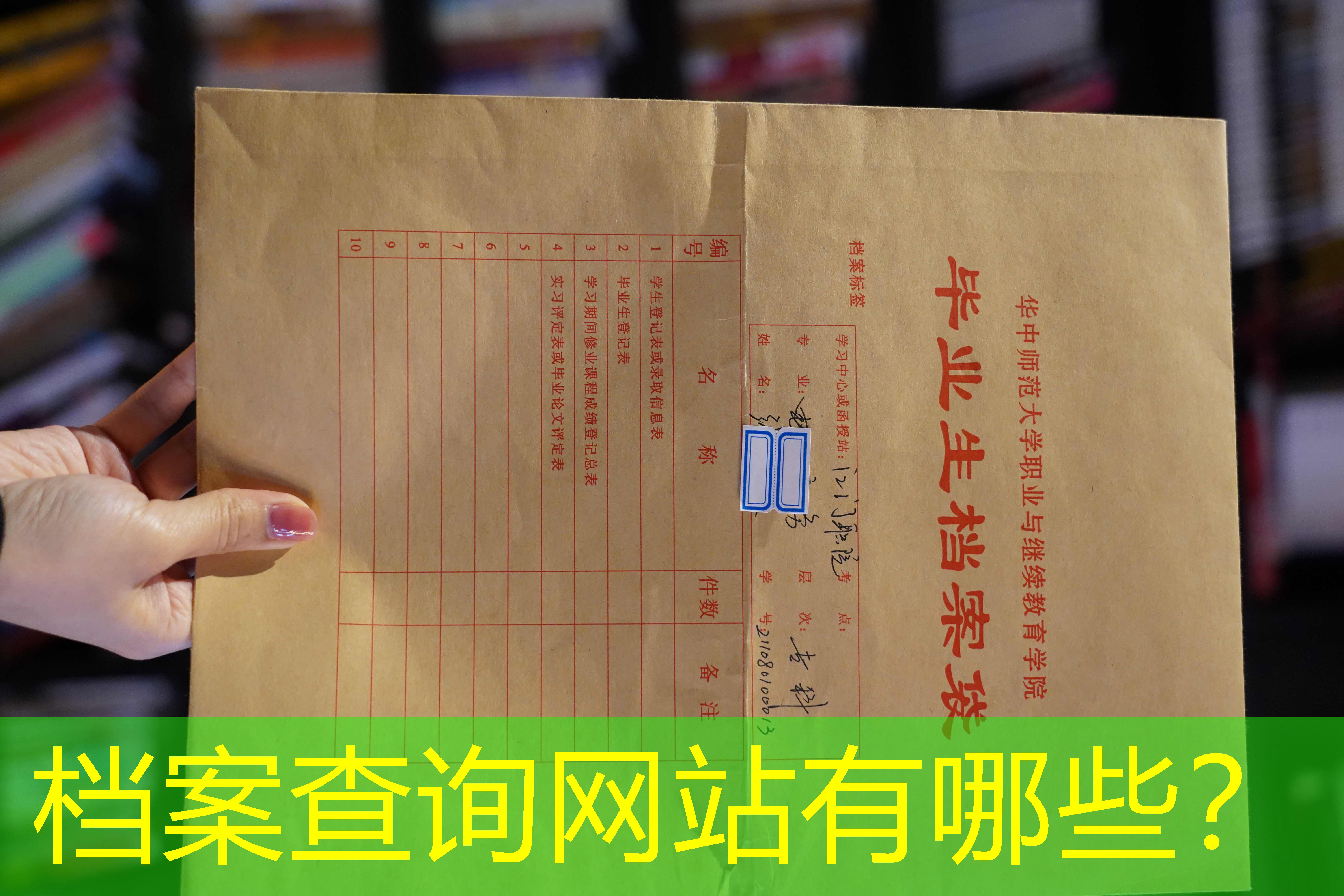 档案查询