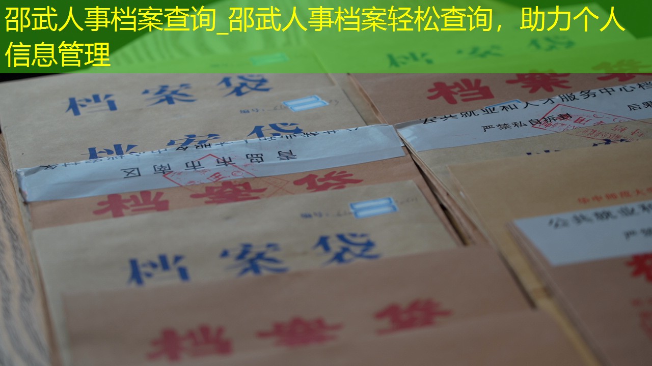 档案查询