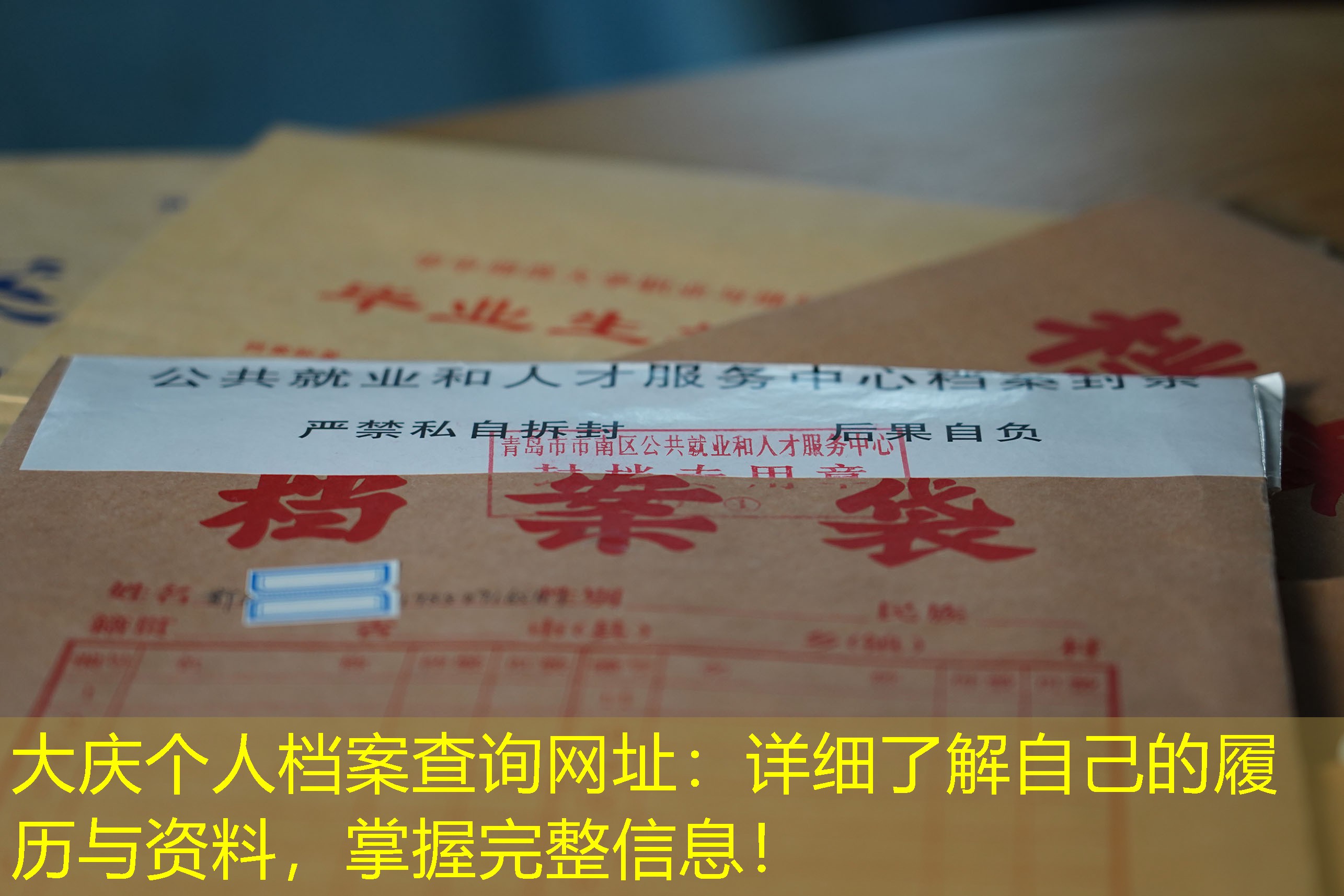 档案查询