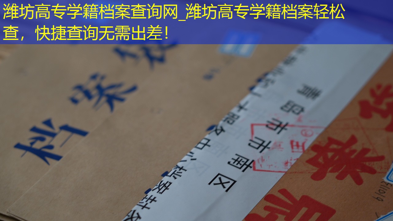 档案查询