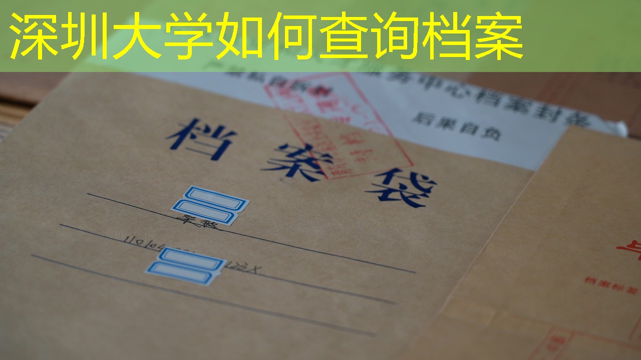 档案查询
