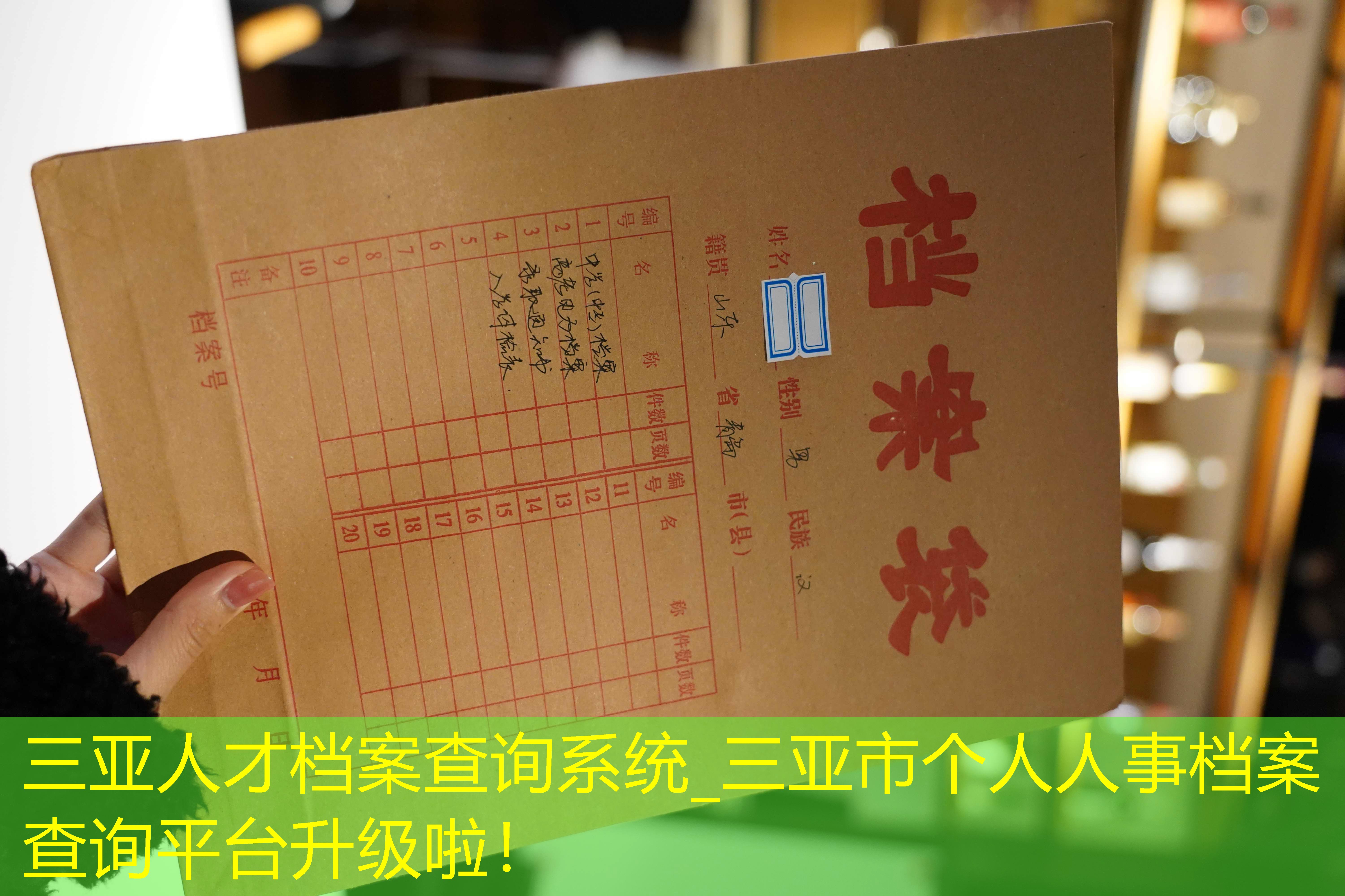 档案查询