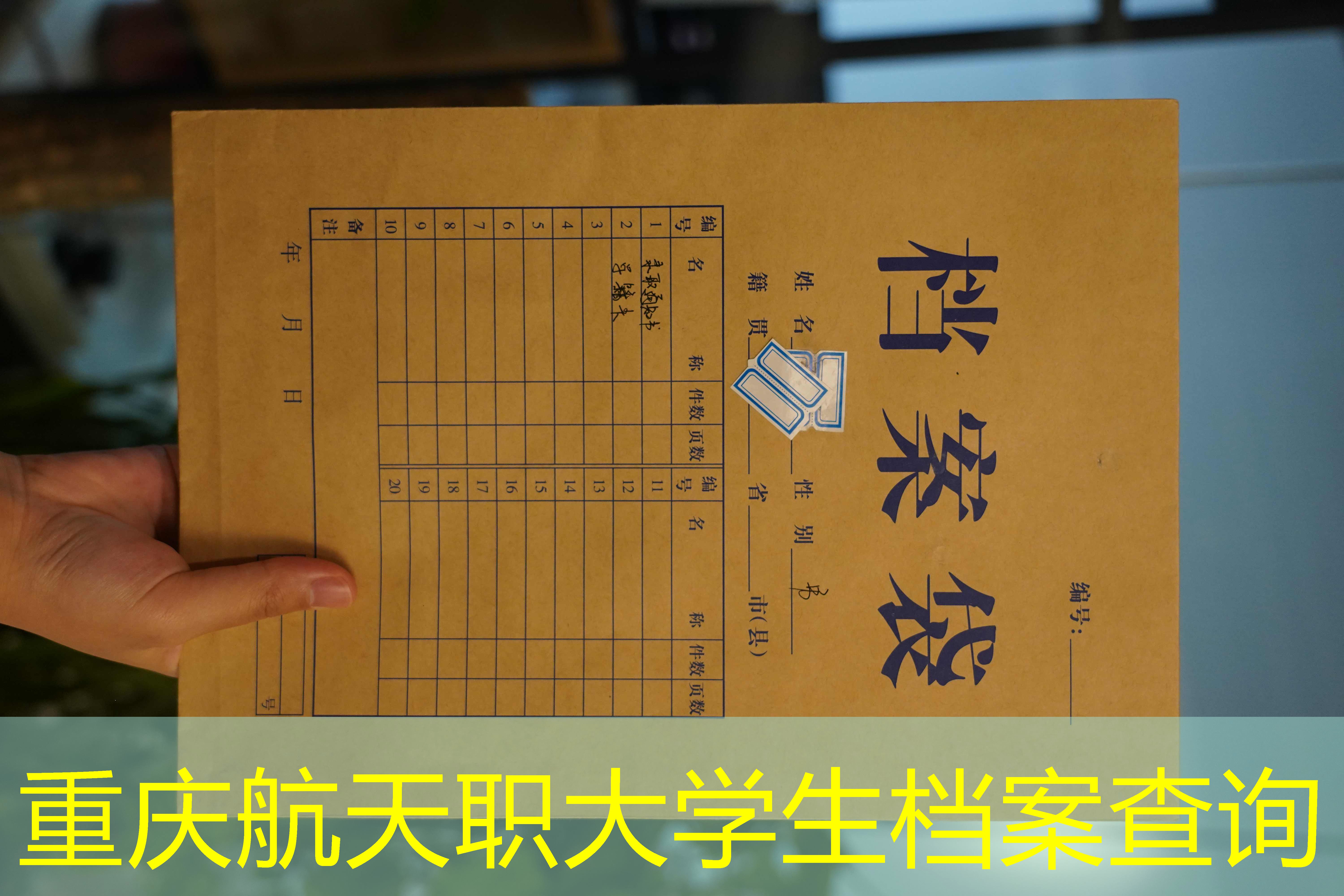 档案查询