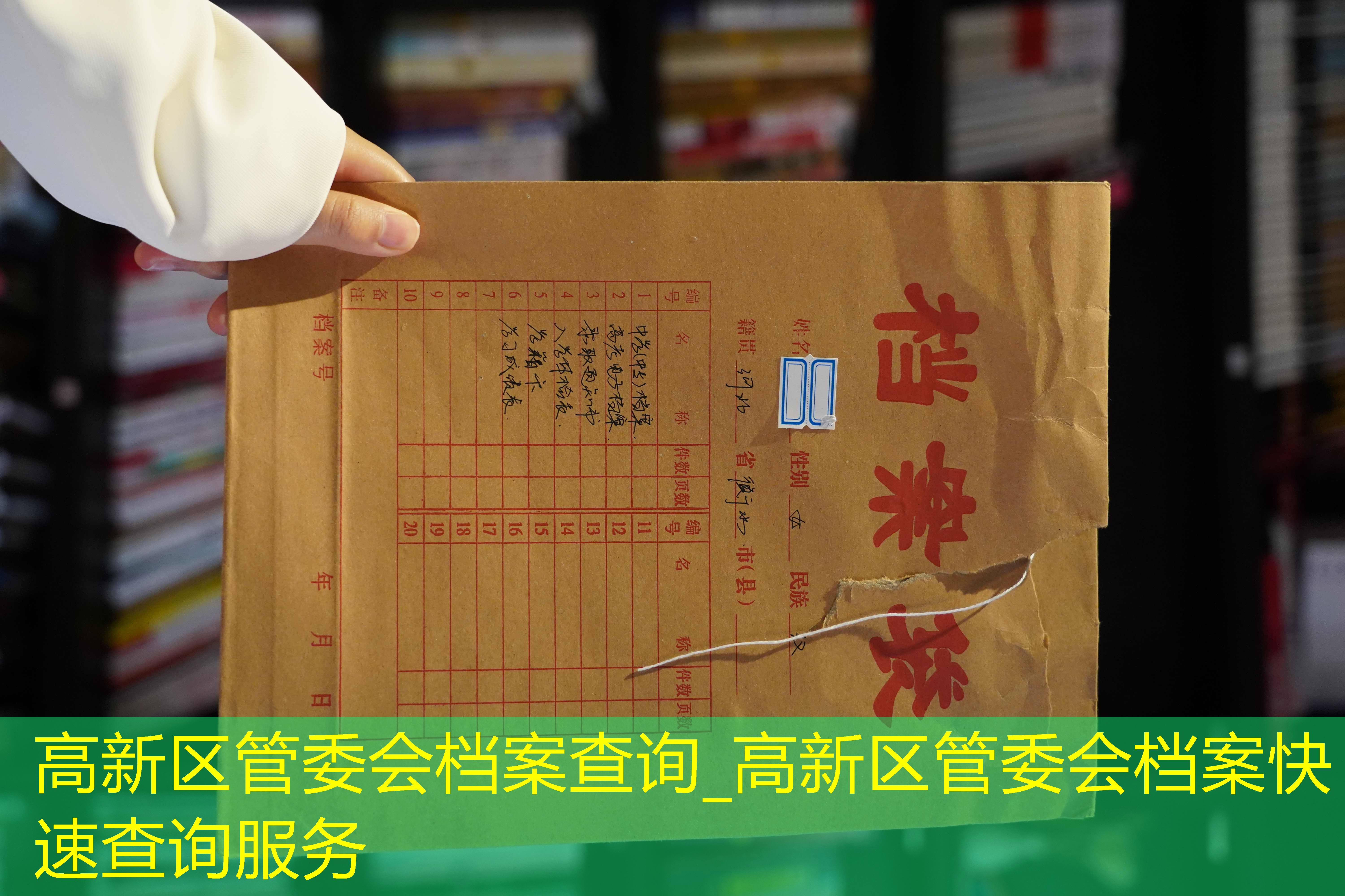 档案查询