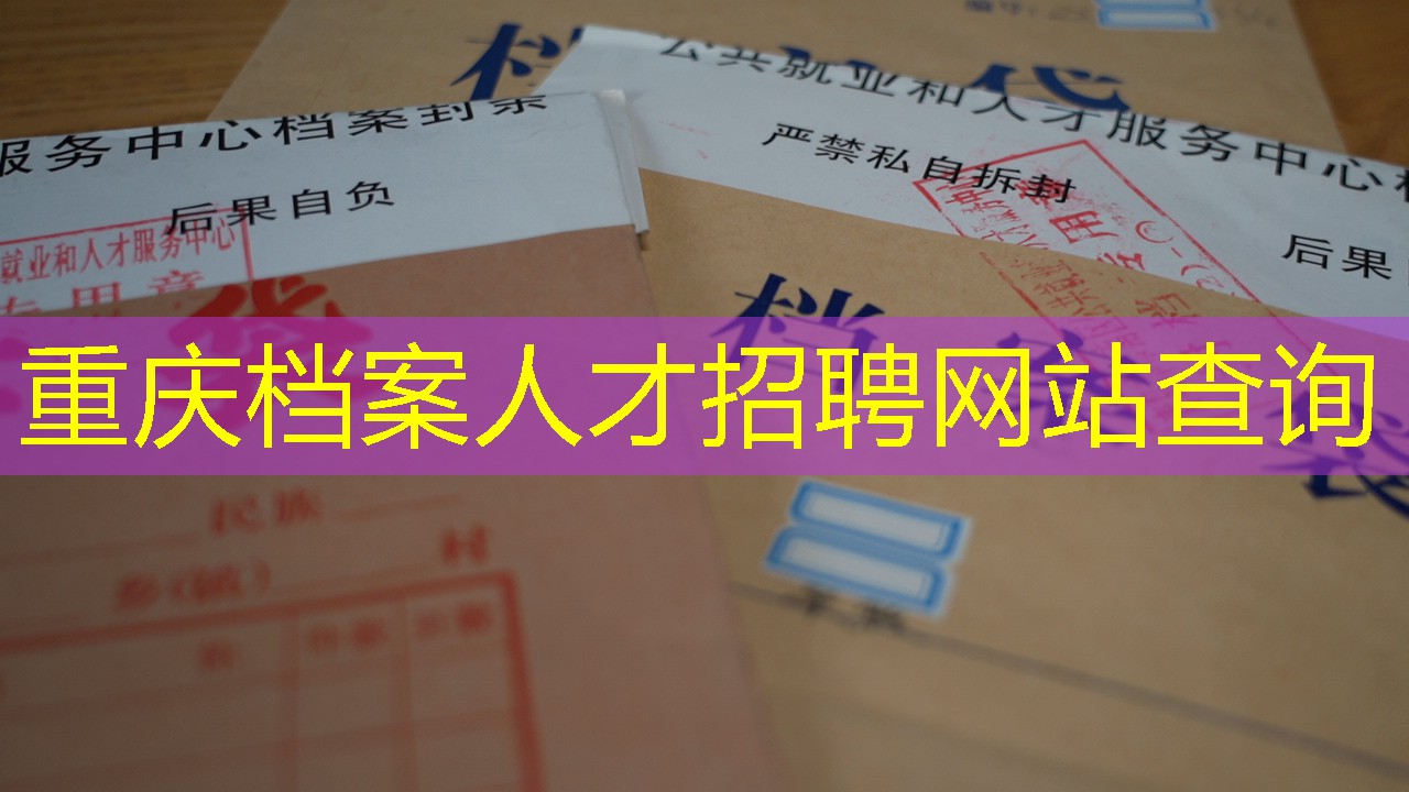 档案查询