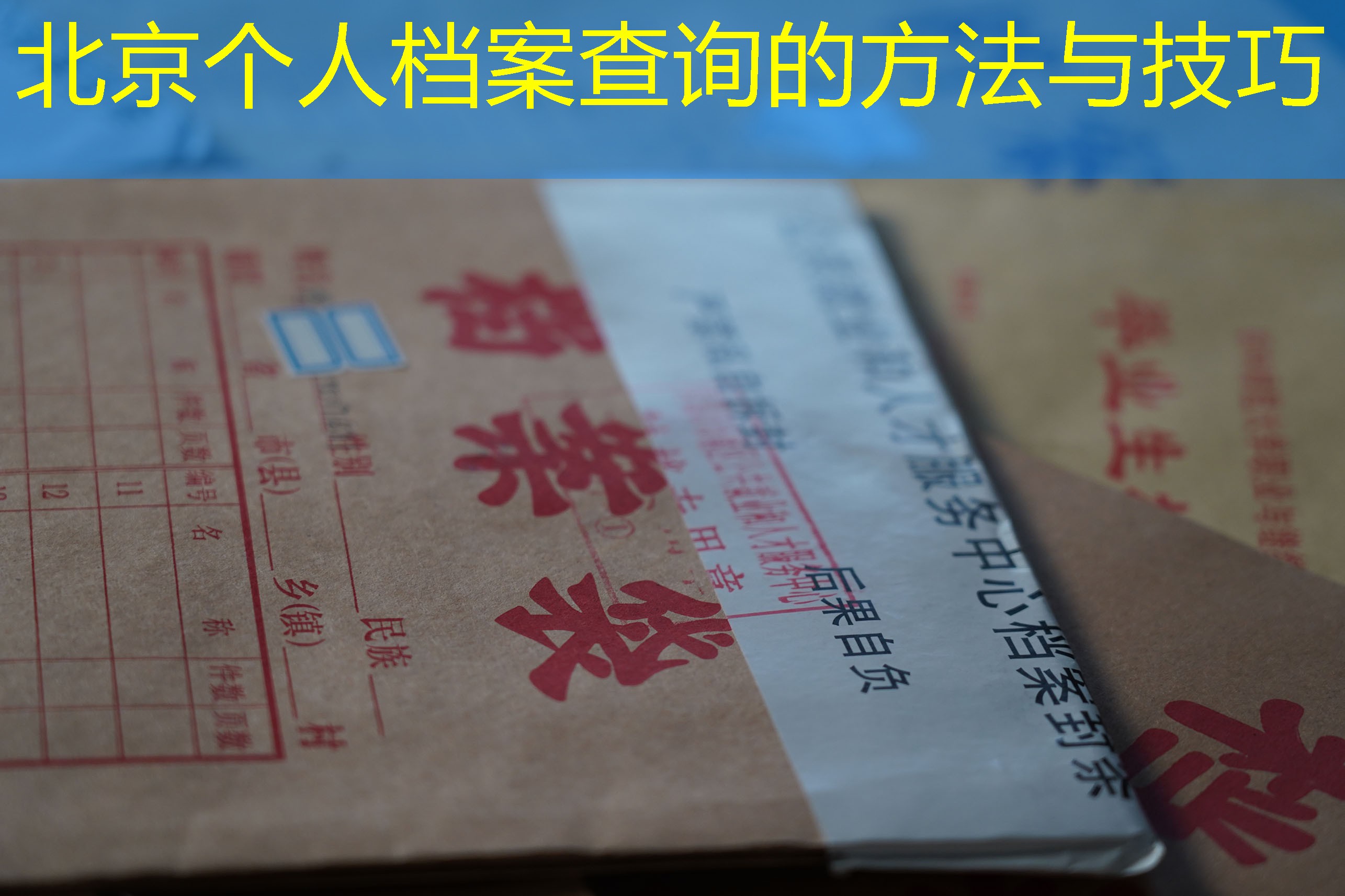 档案查询