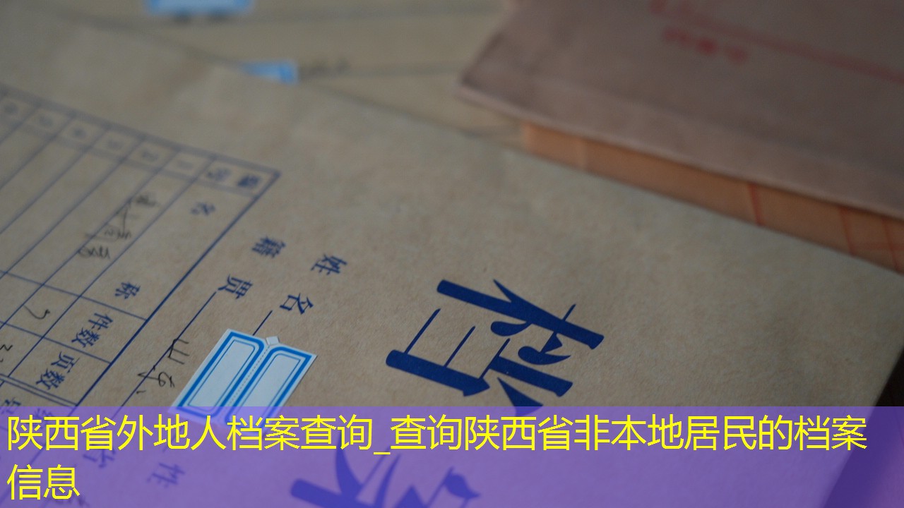 档案查询
