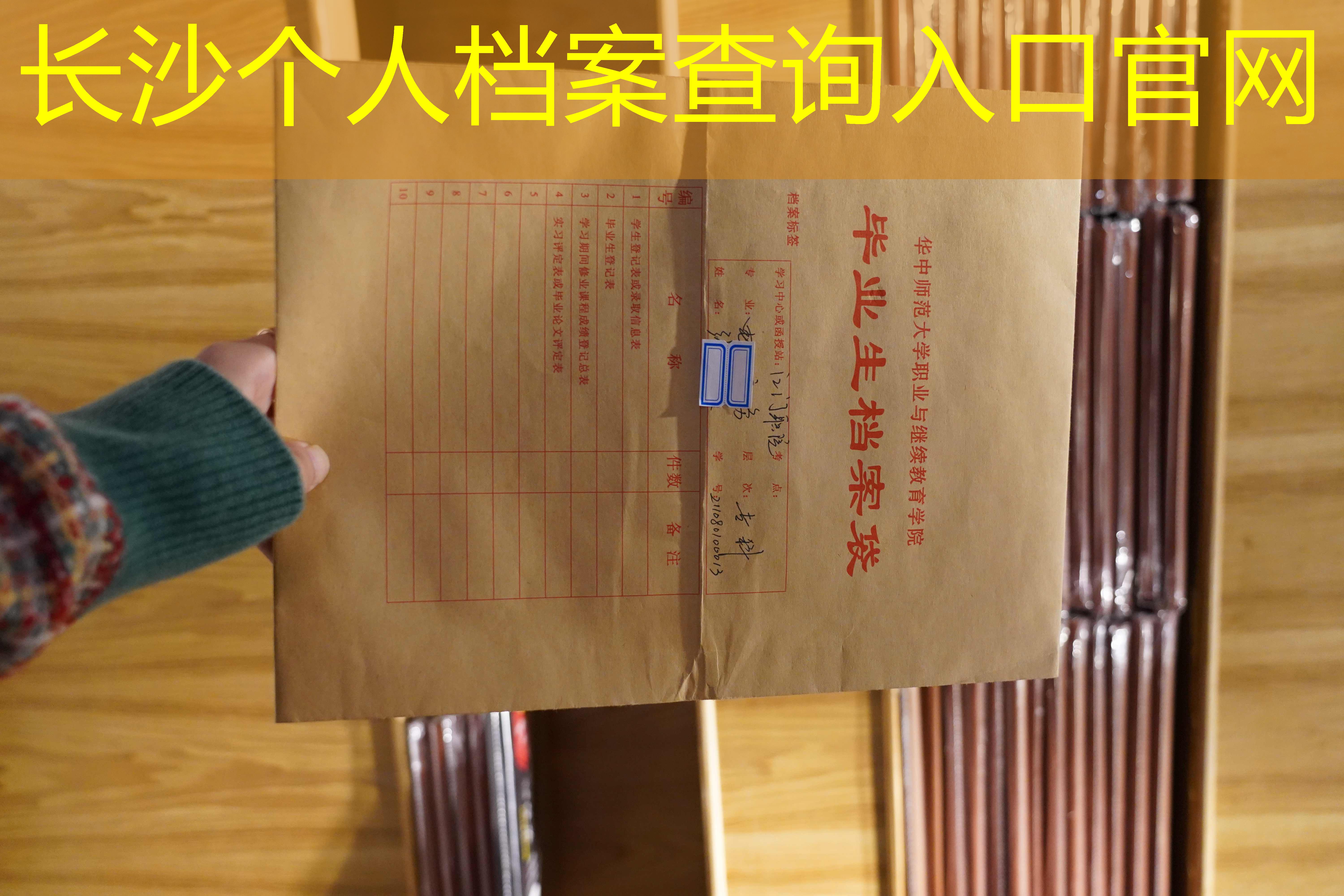 档案查询