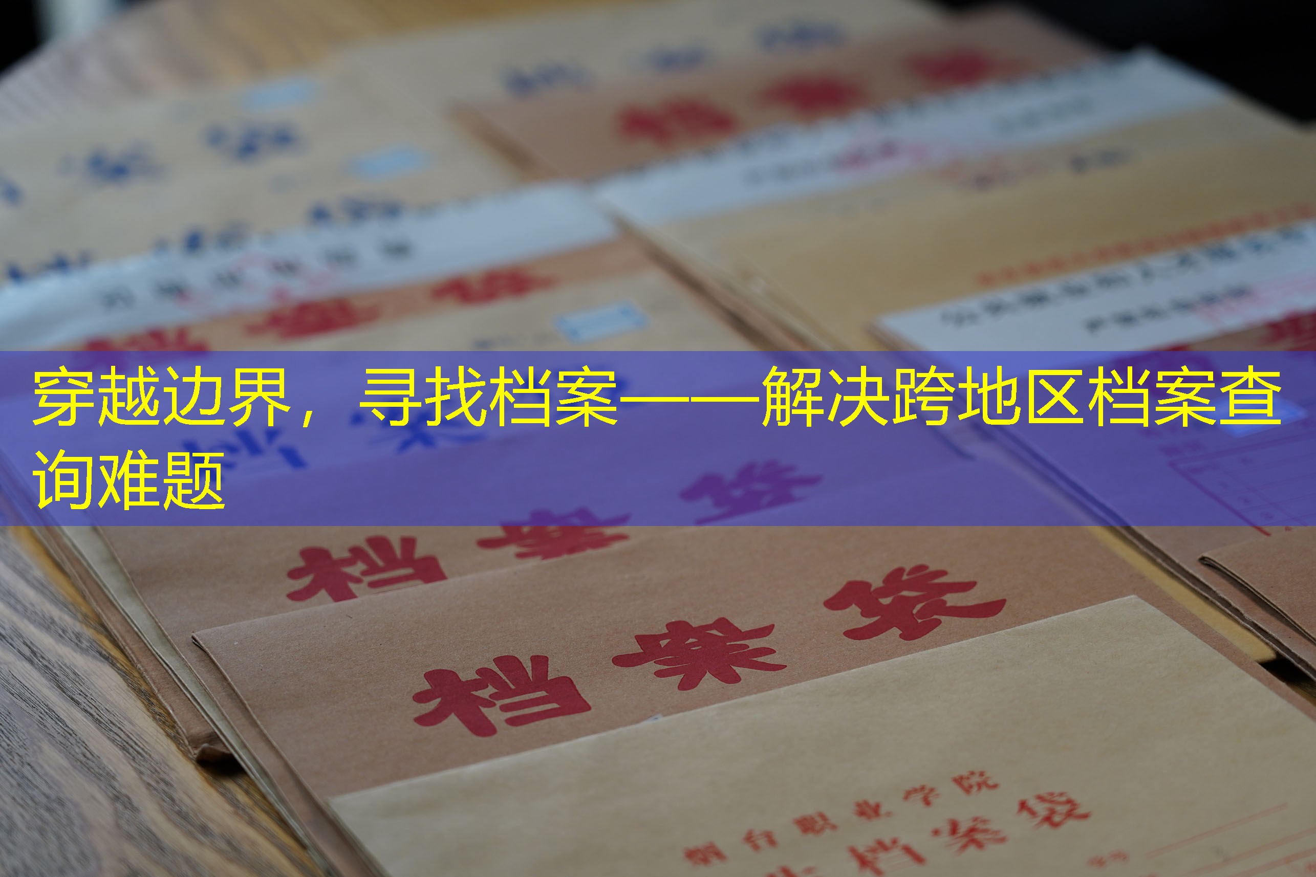 档案查询