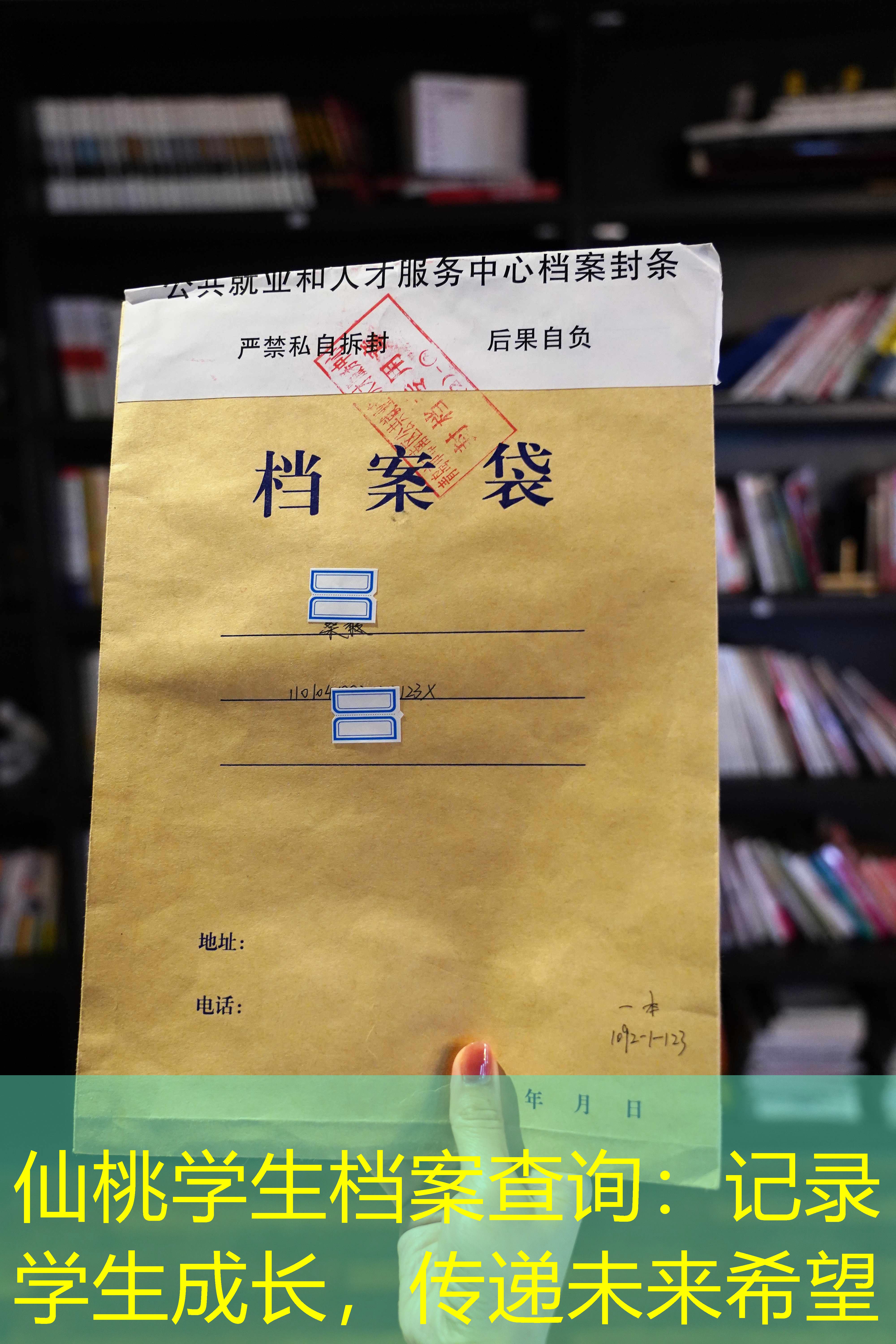 档案查询