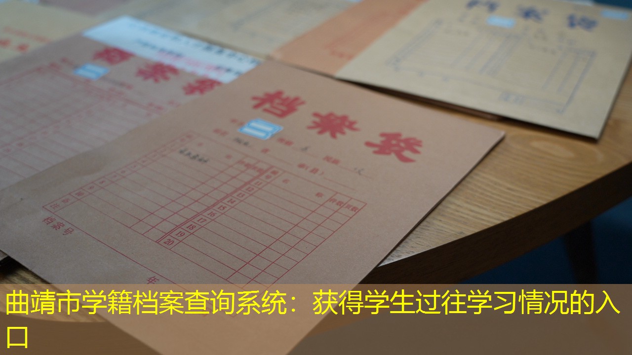 档案查询