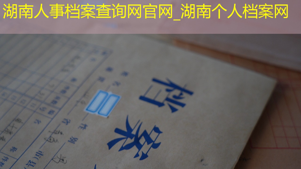档案查询