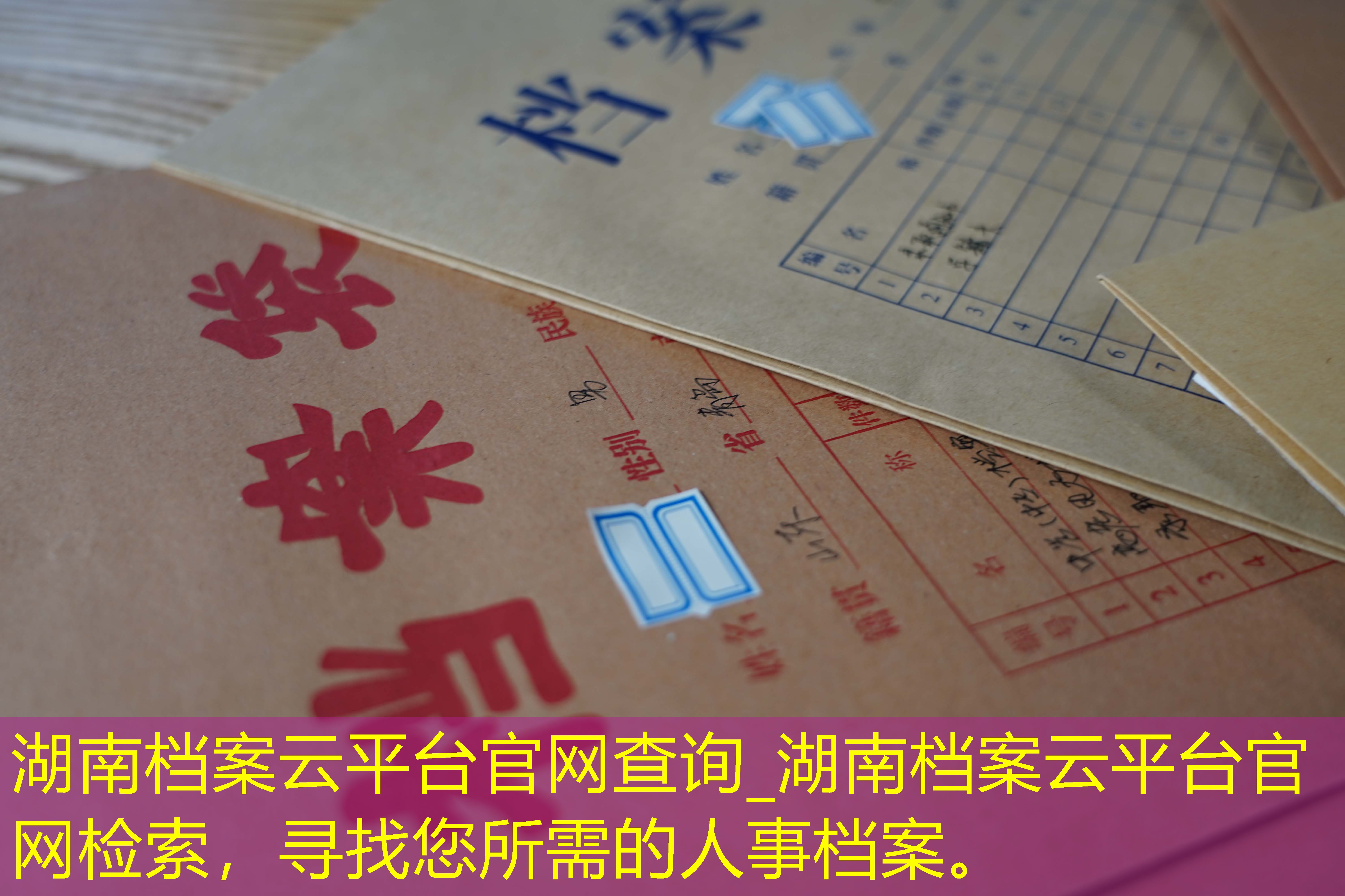 档案查询