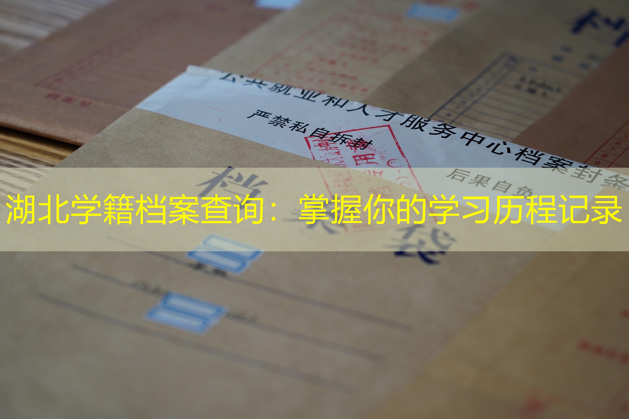档案查询