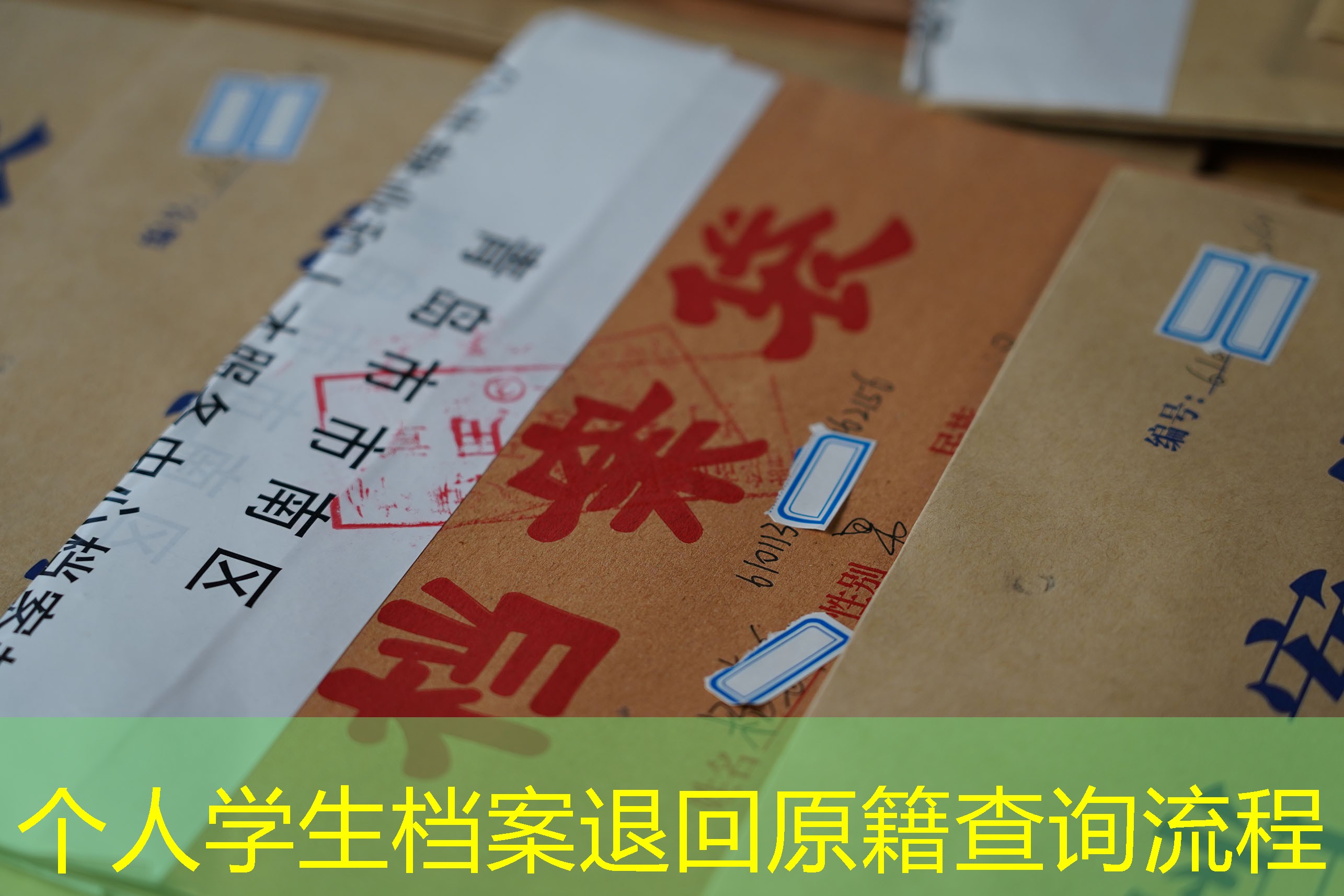 档案查询