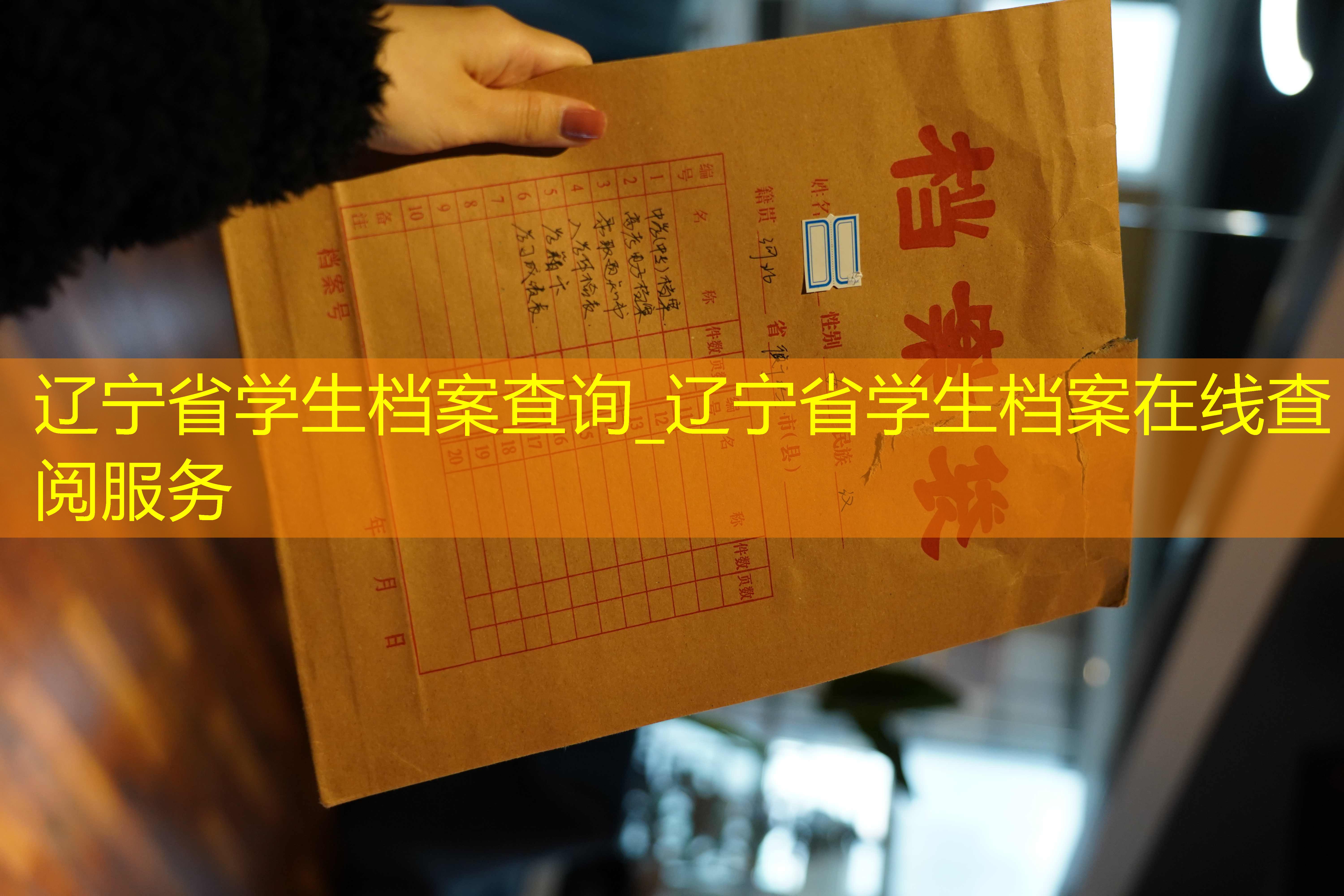 档案查询