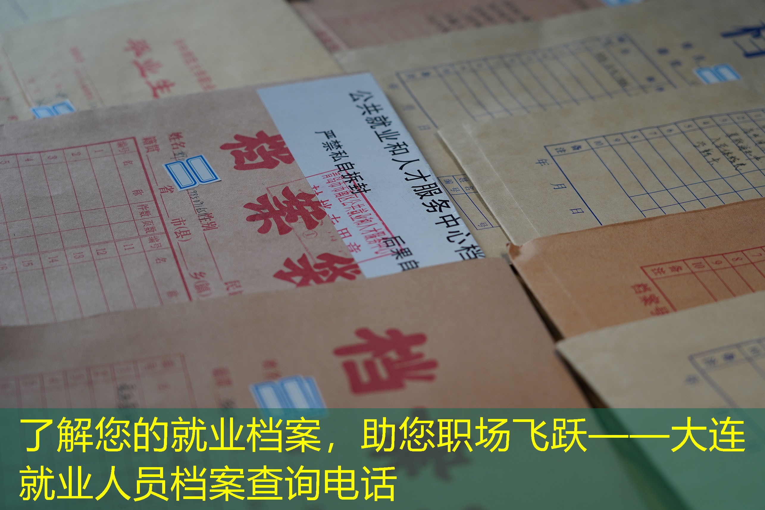 档案查询