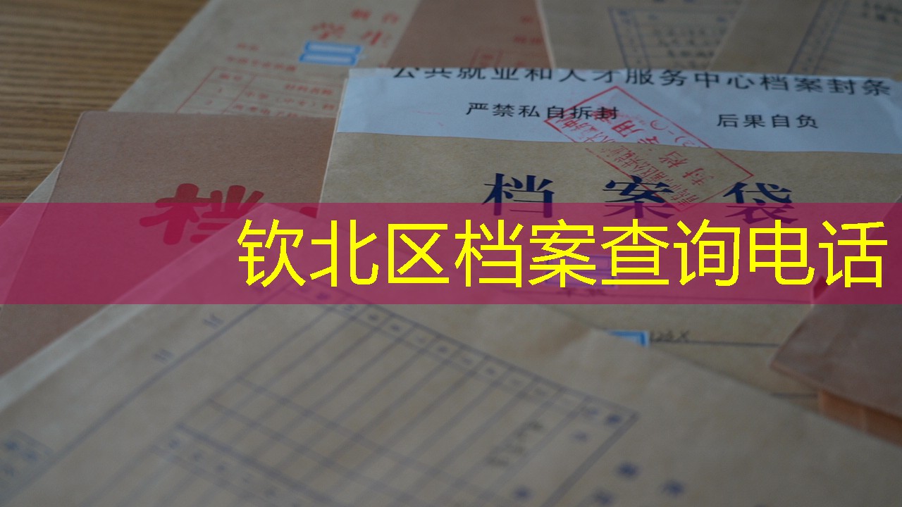 档案查询