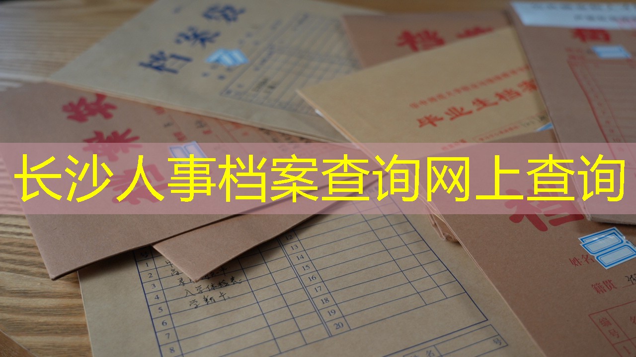 档案查询
