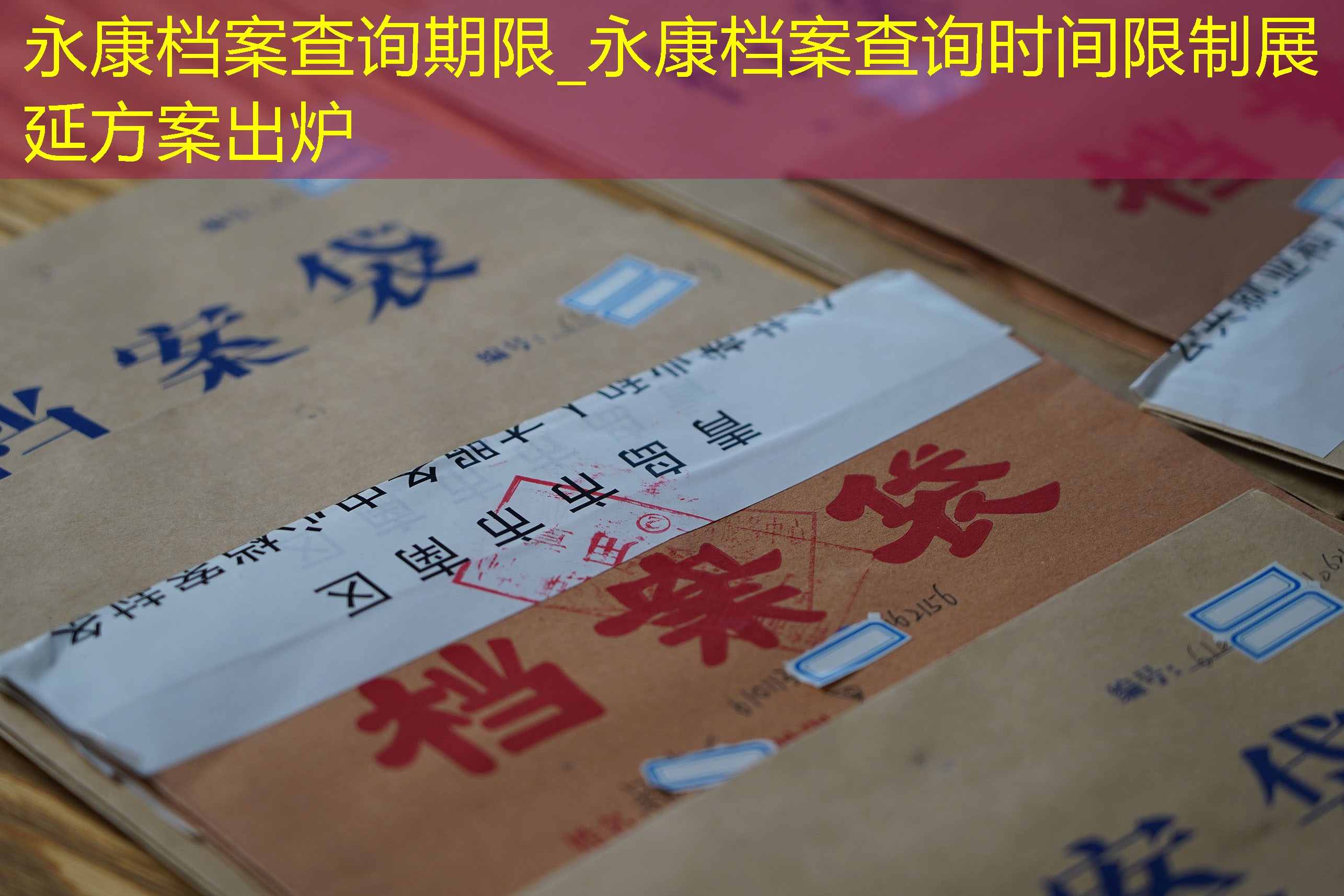 档案查询