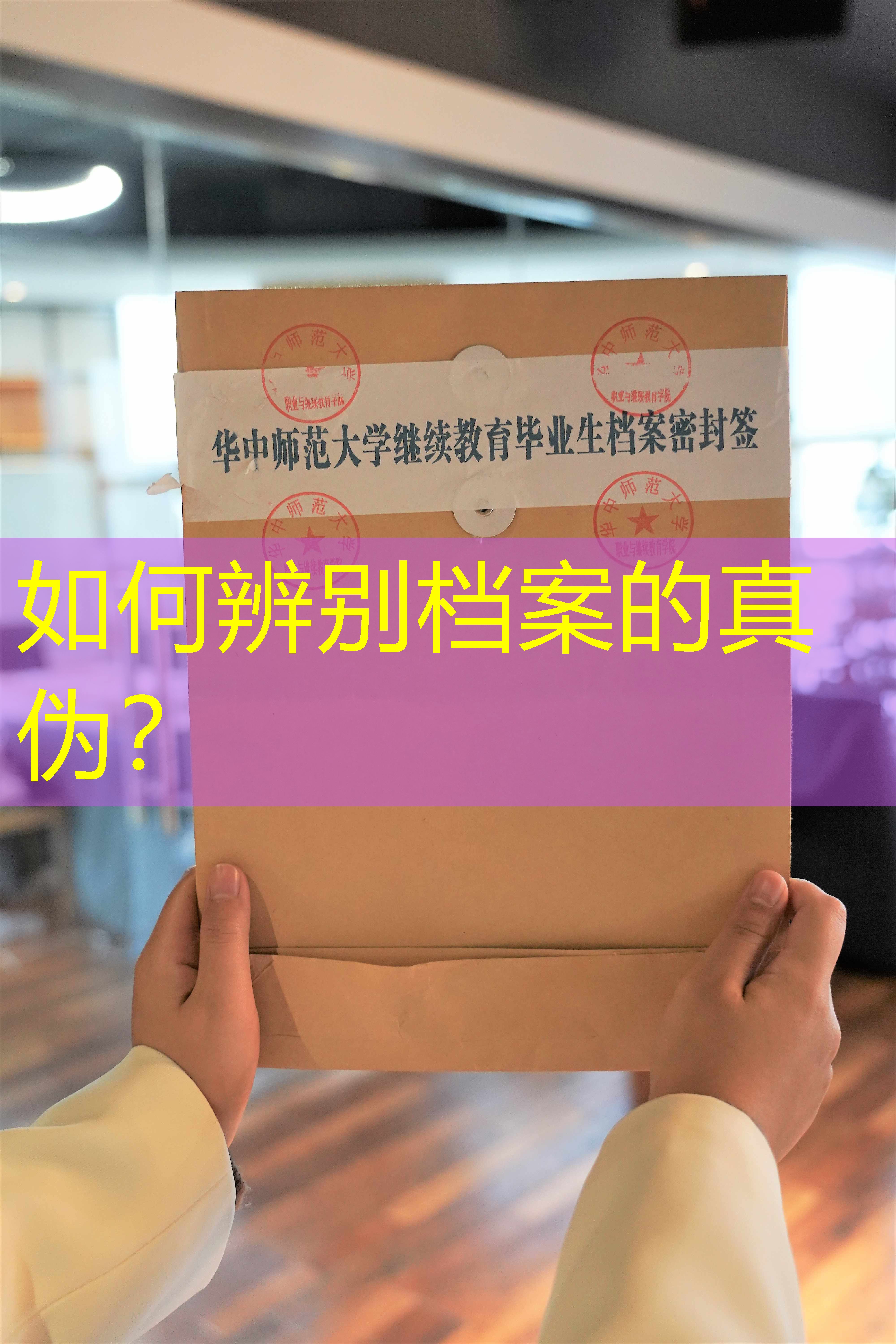 档案查询