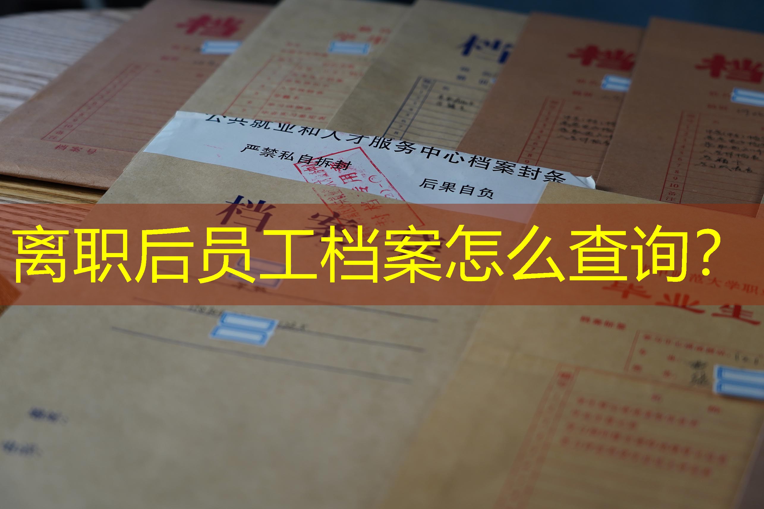 档案查询