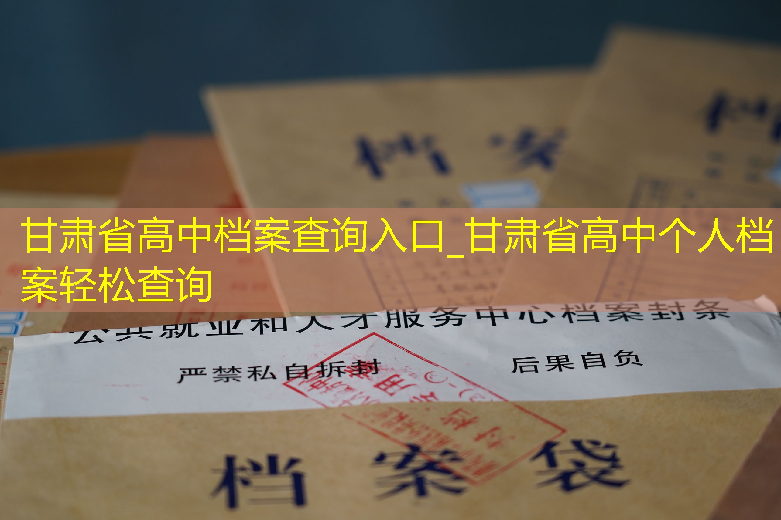 档案查询