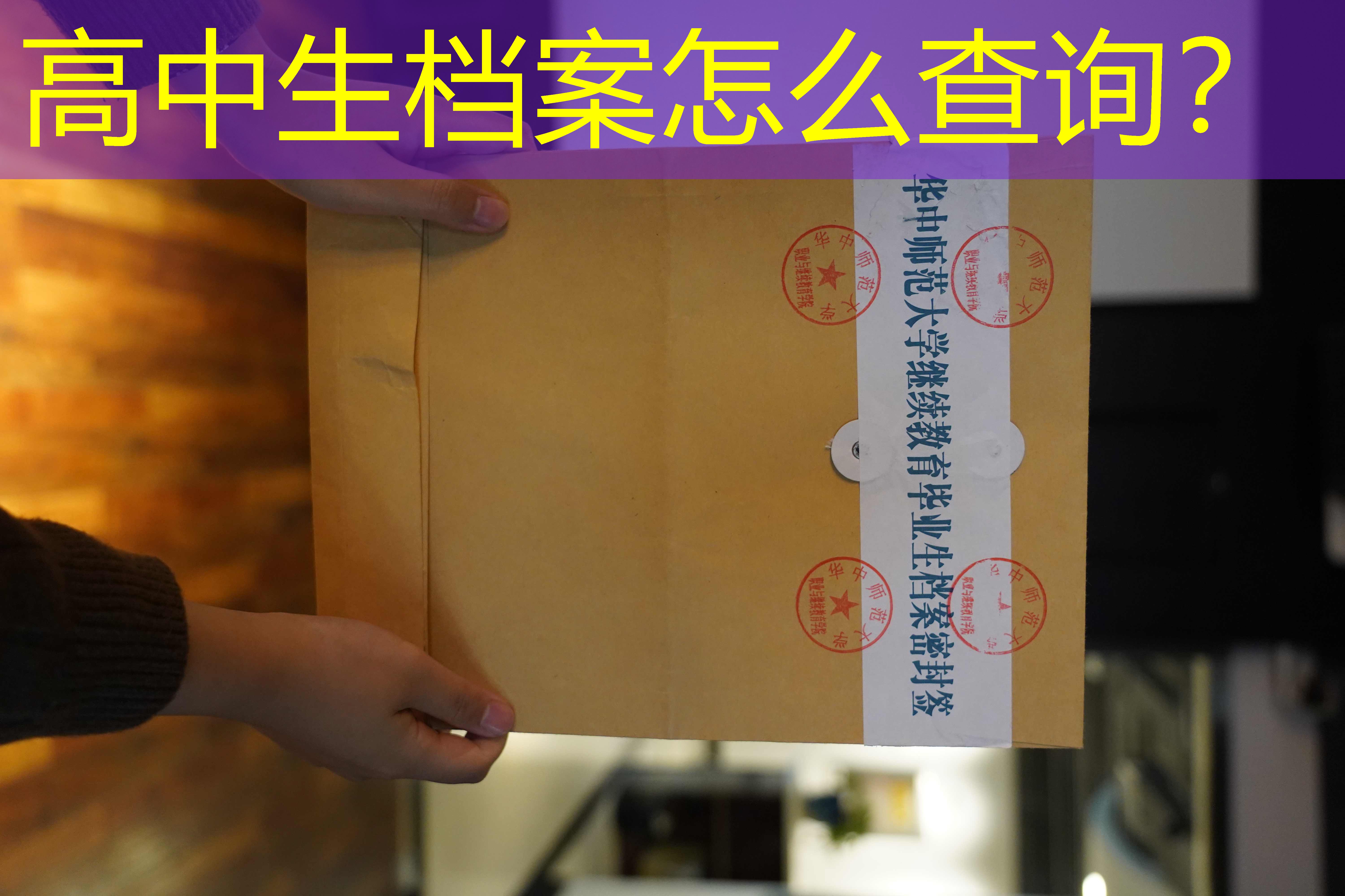 档案查询