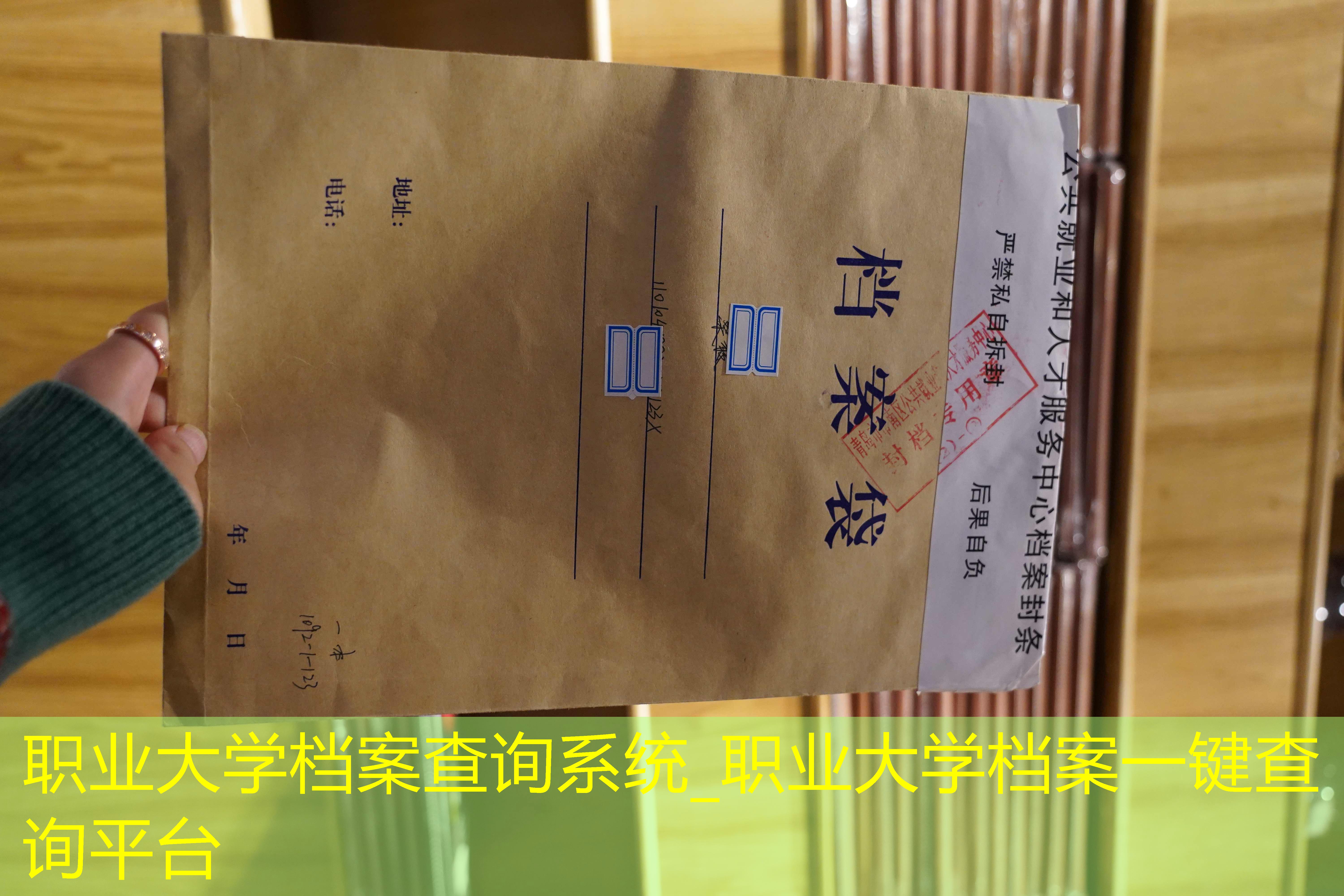 档案查询