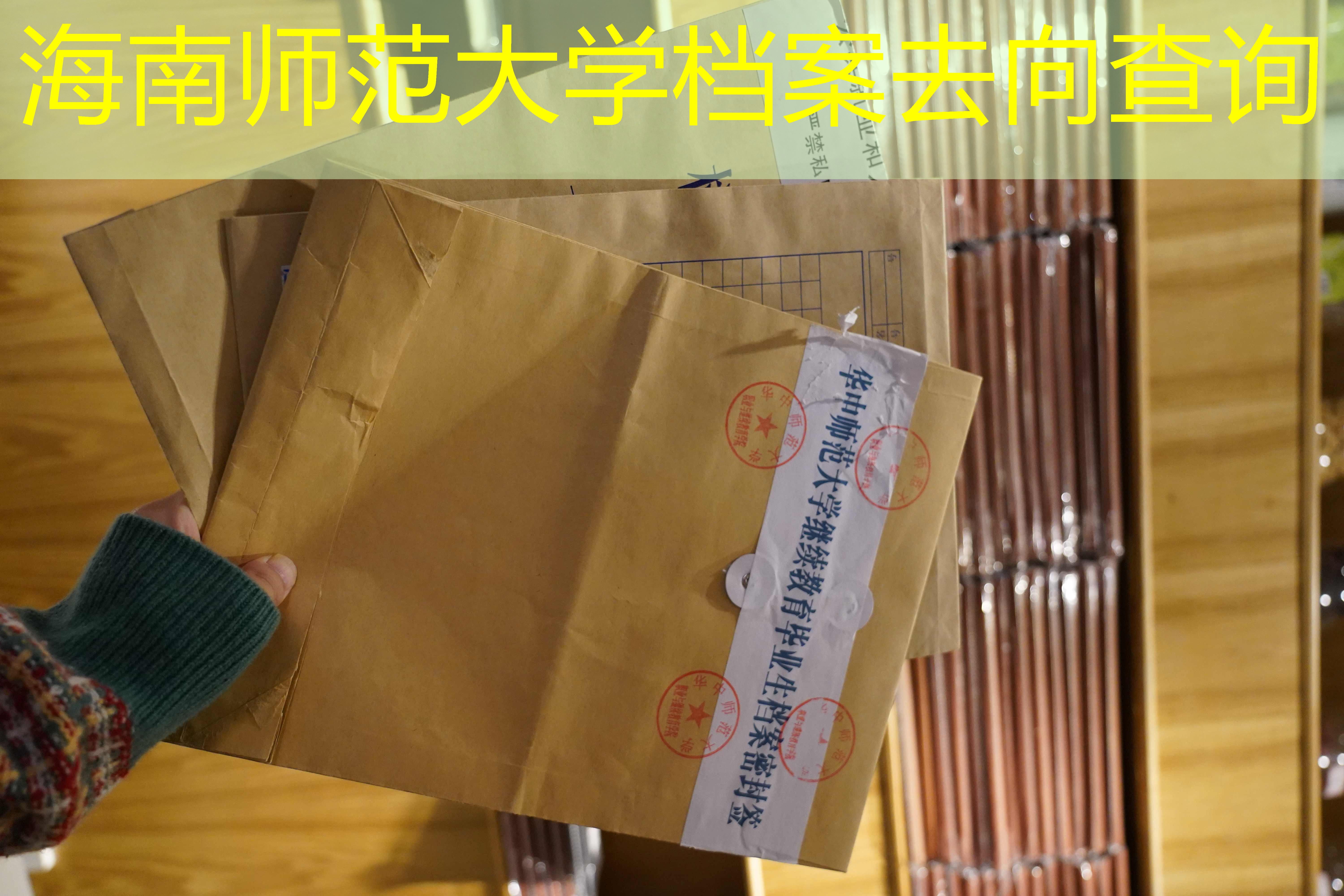 档案查询