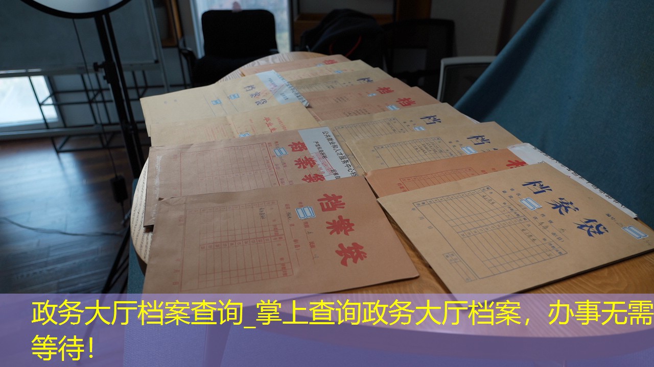 档案查询