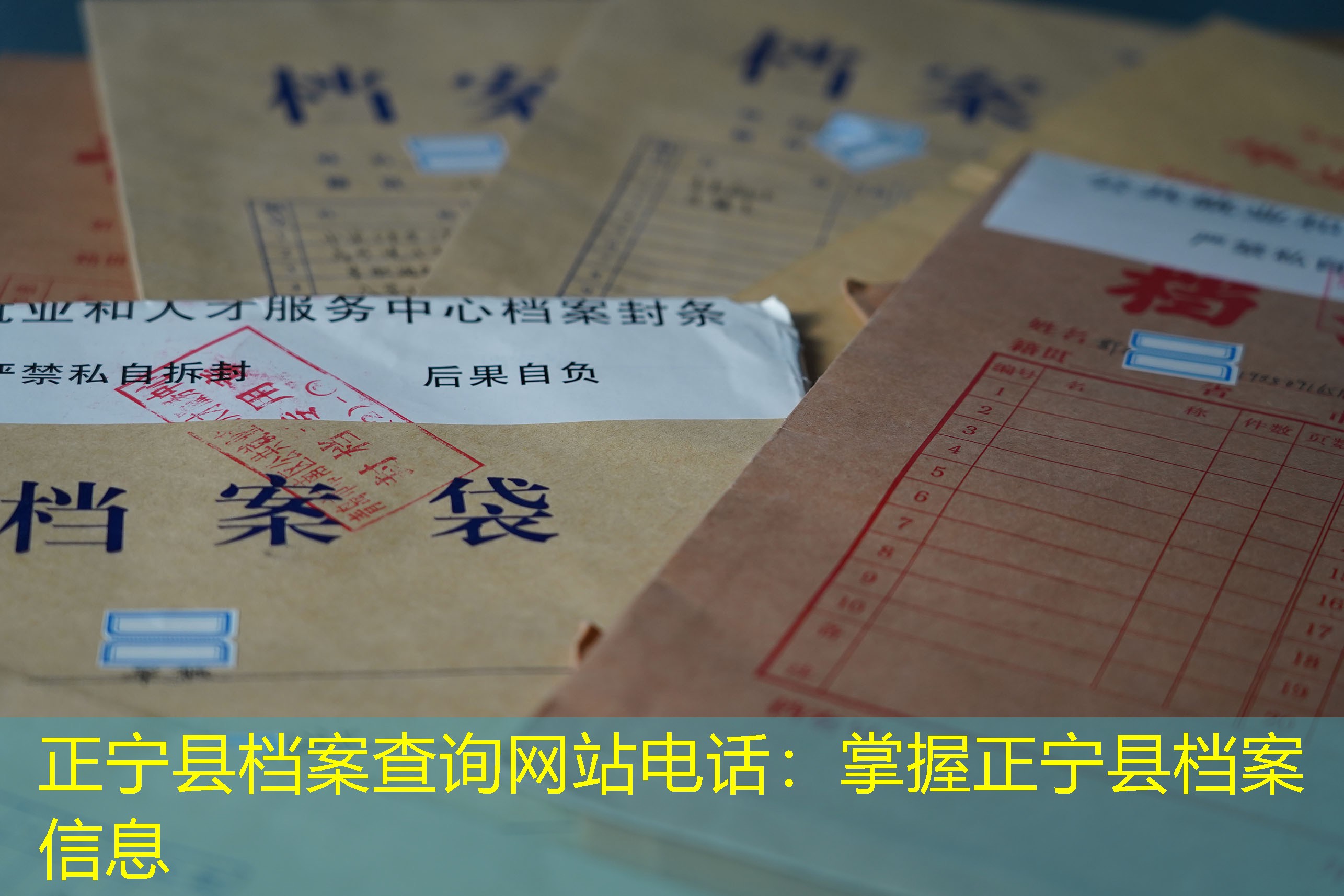 档案查询