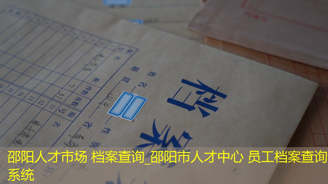 档案查询
