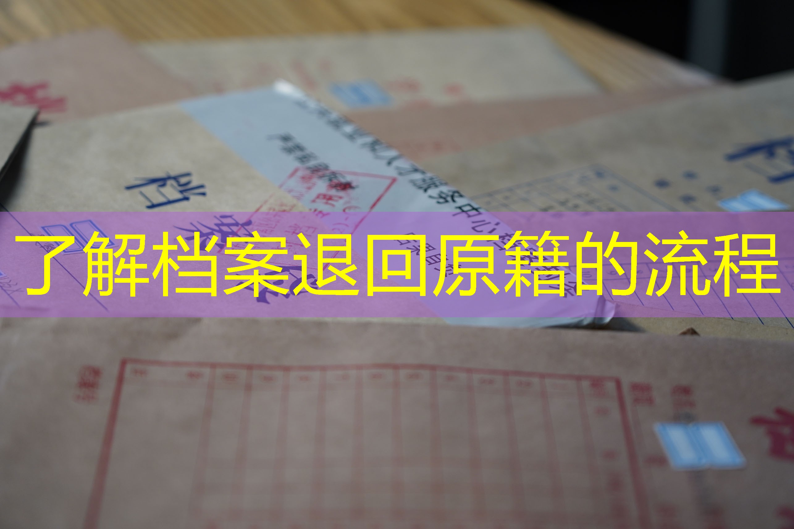 档案查询