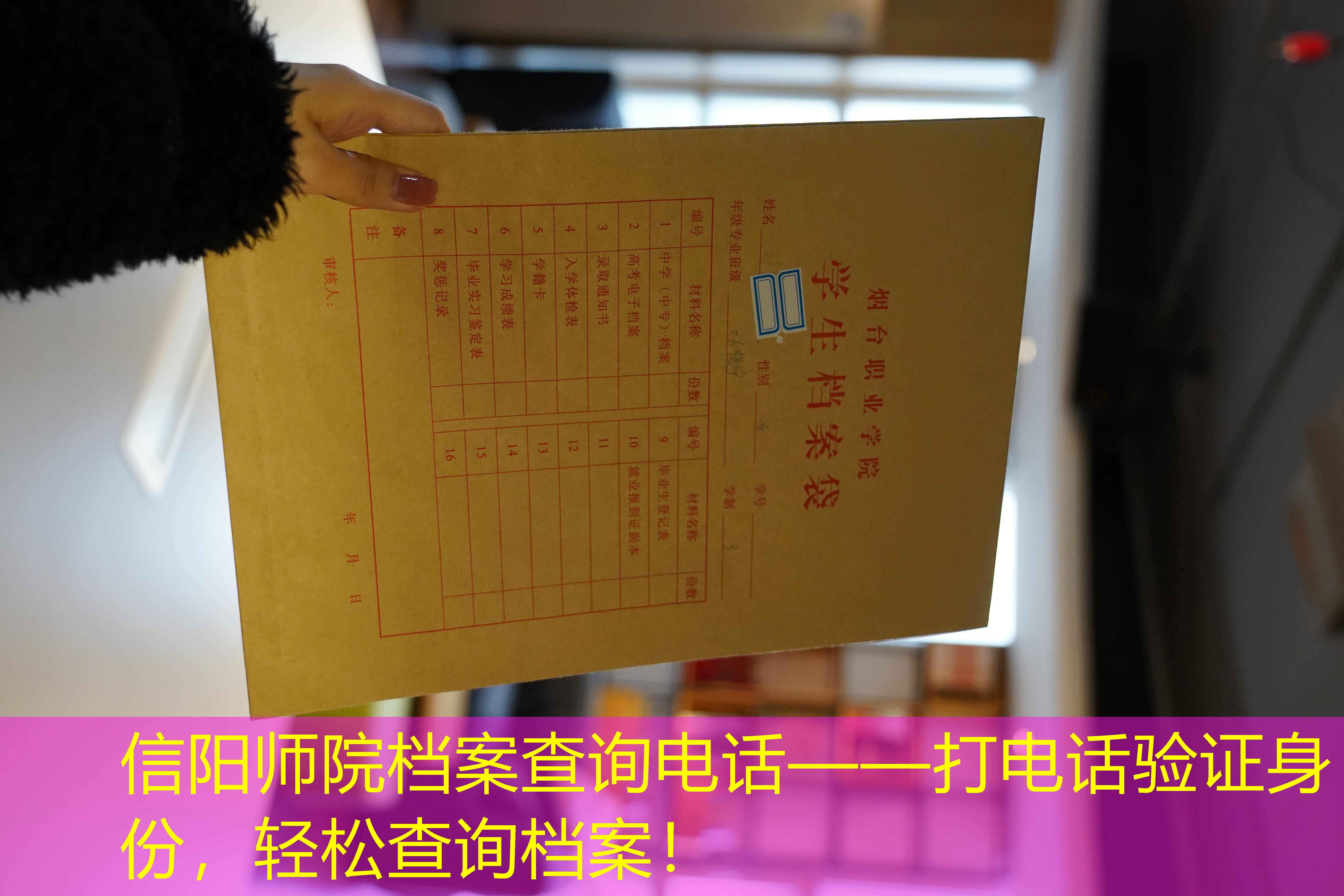 档案查询