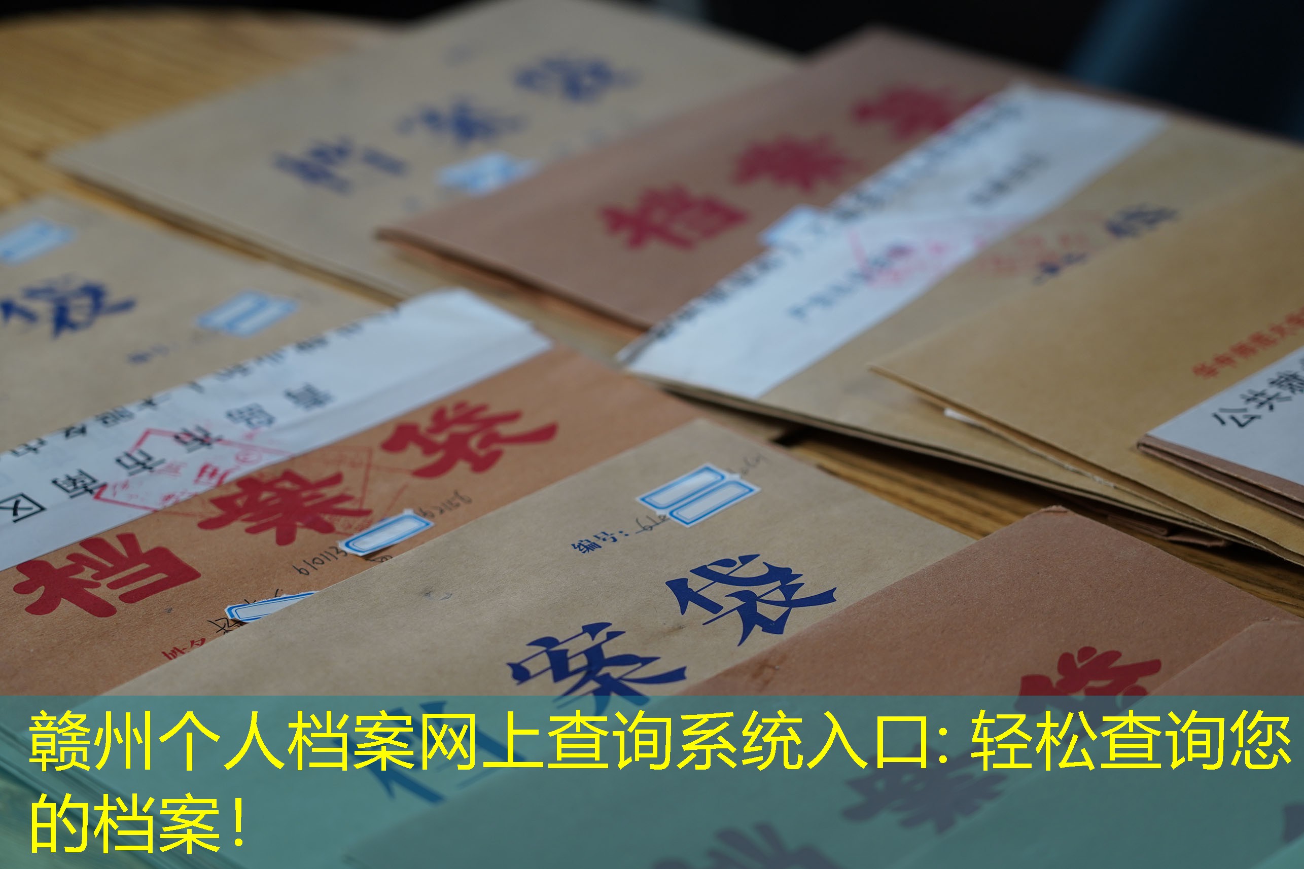 档案查询