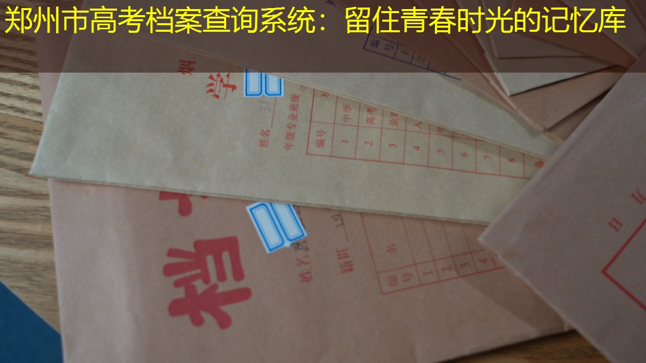 档案查询