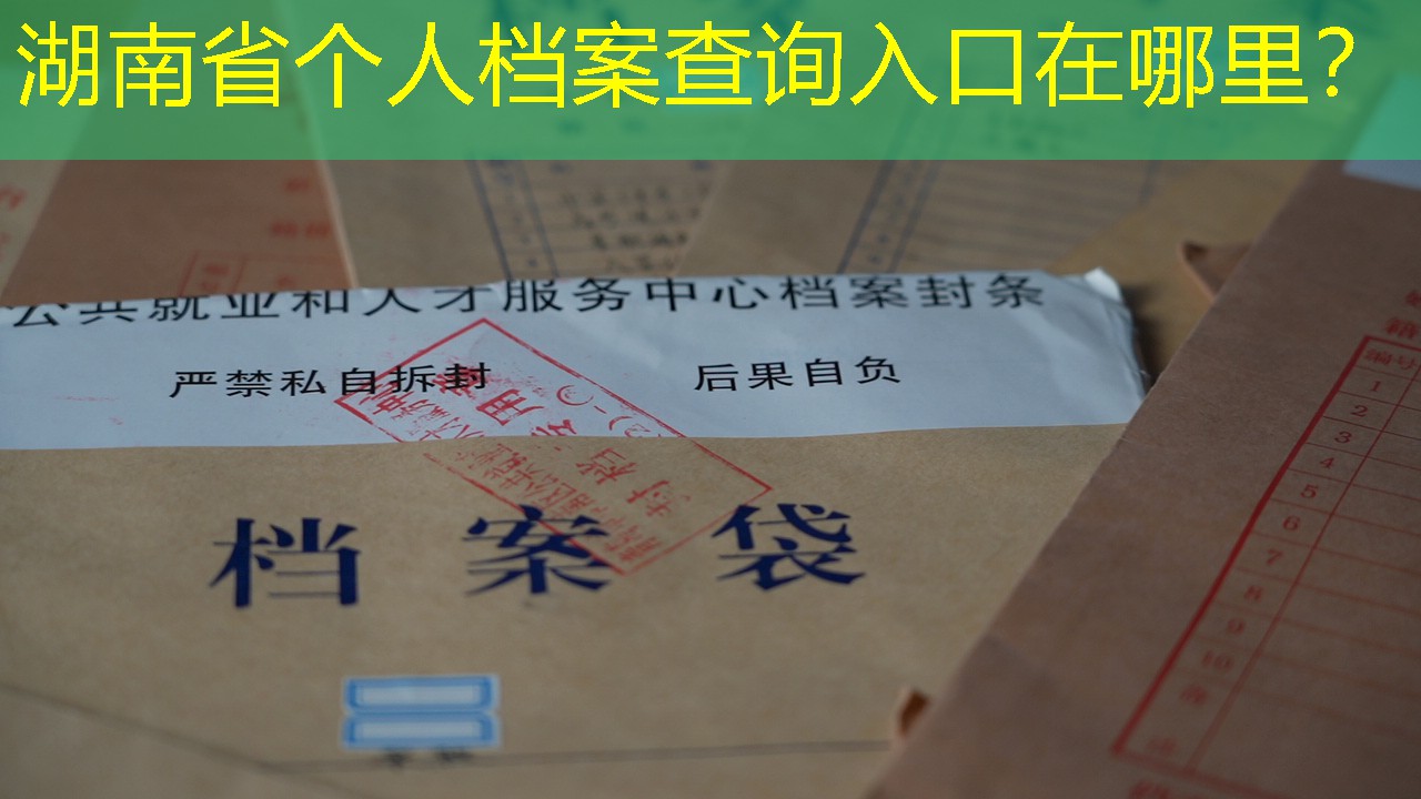 档案查询