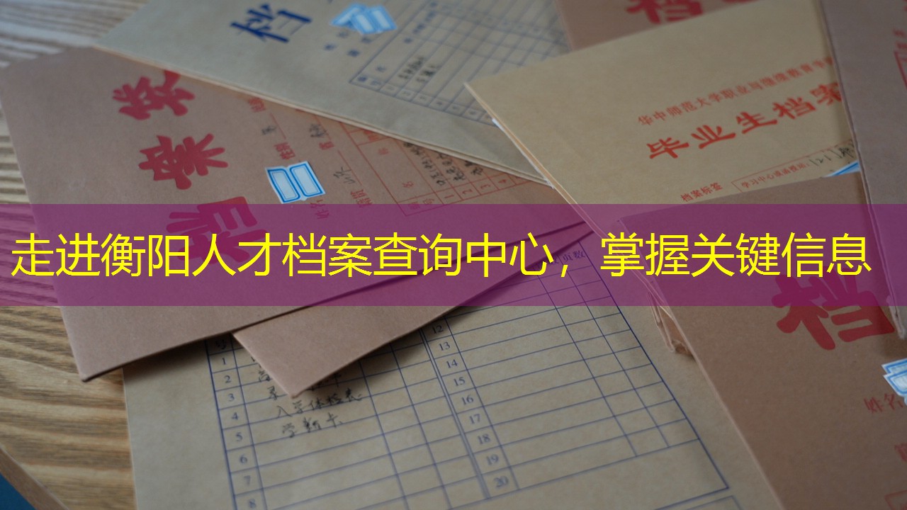 档案查询