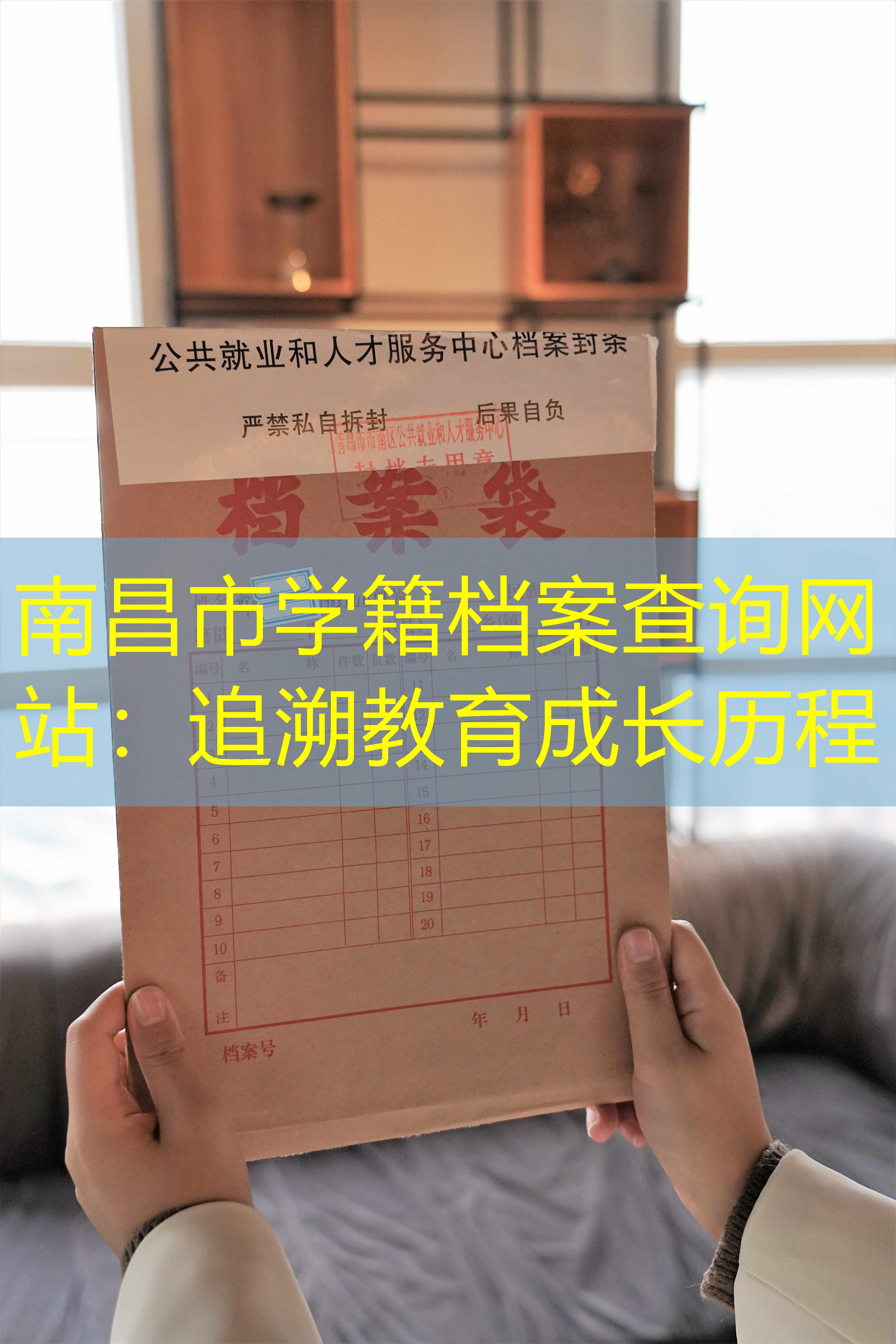 档案查询